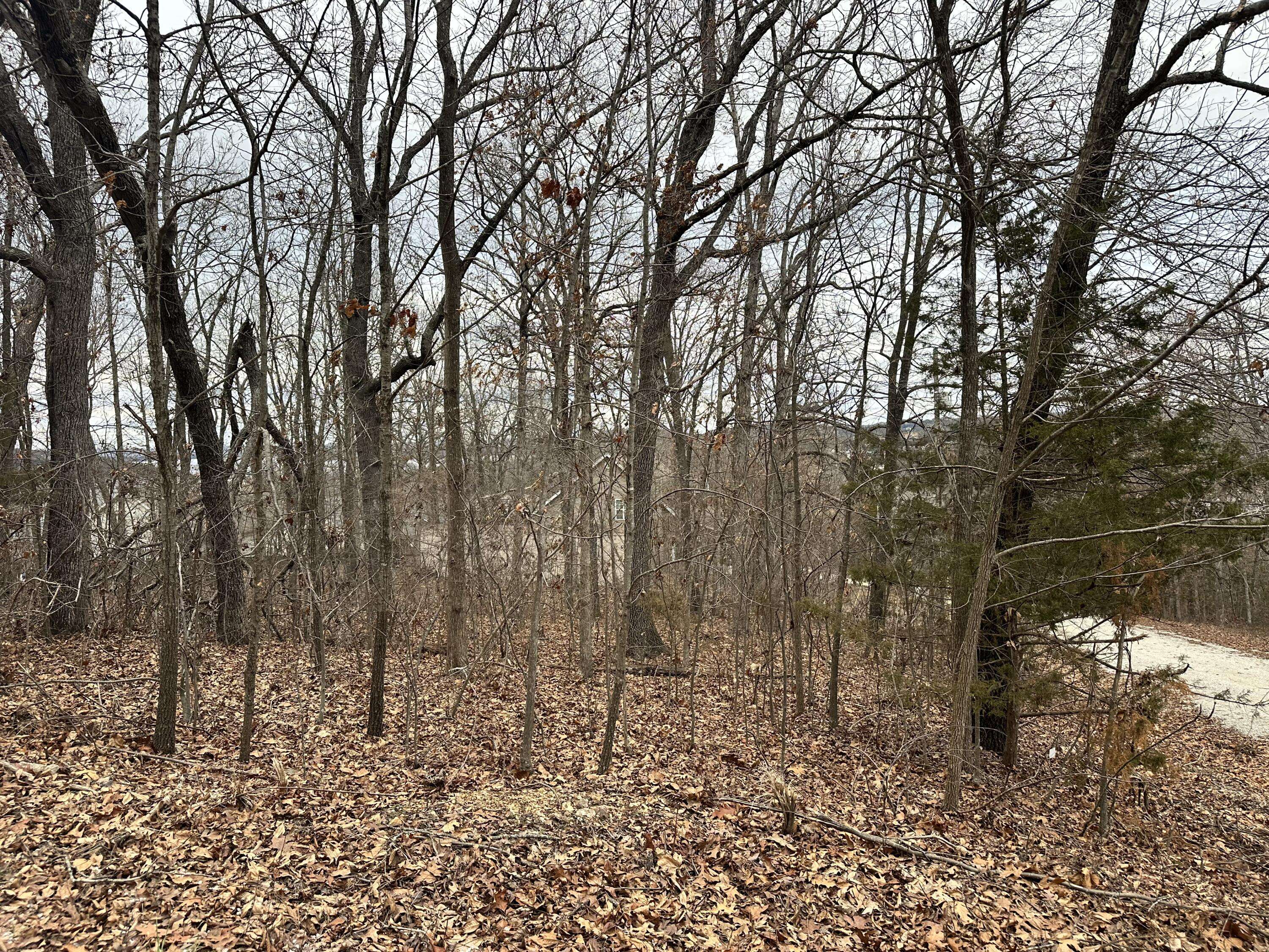 Ridgedale, MO 65739,126, 127 Mockingbird Court
