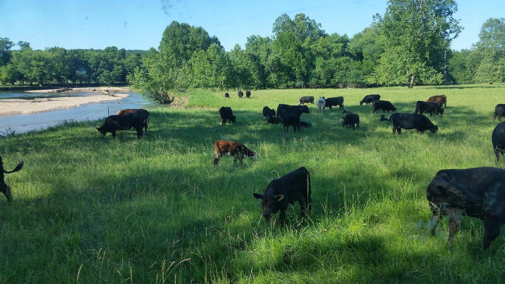 Pineville, MO 64856,000 B71 Highway
