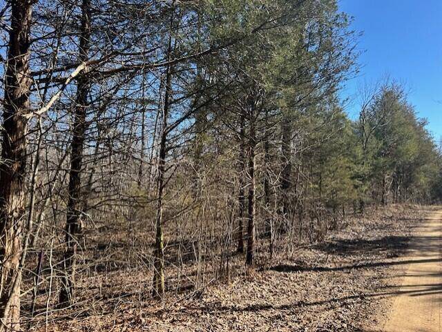 Ava, MO 65608,7789 E Co Road #T-561