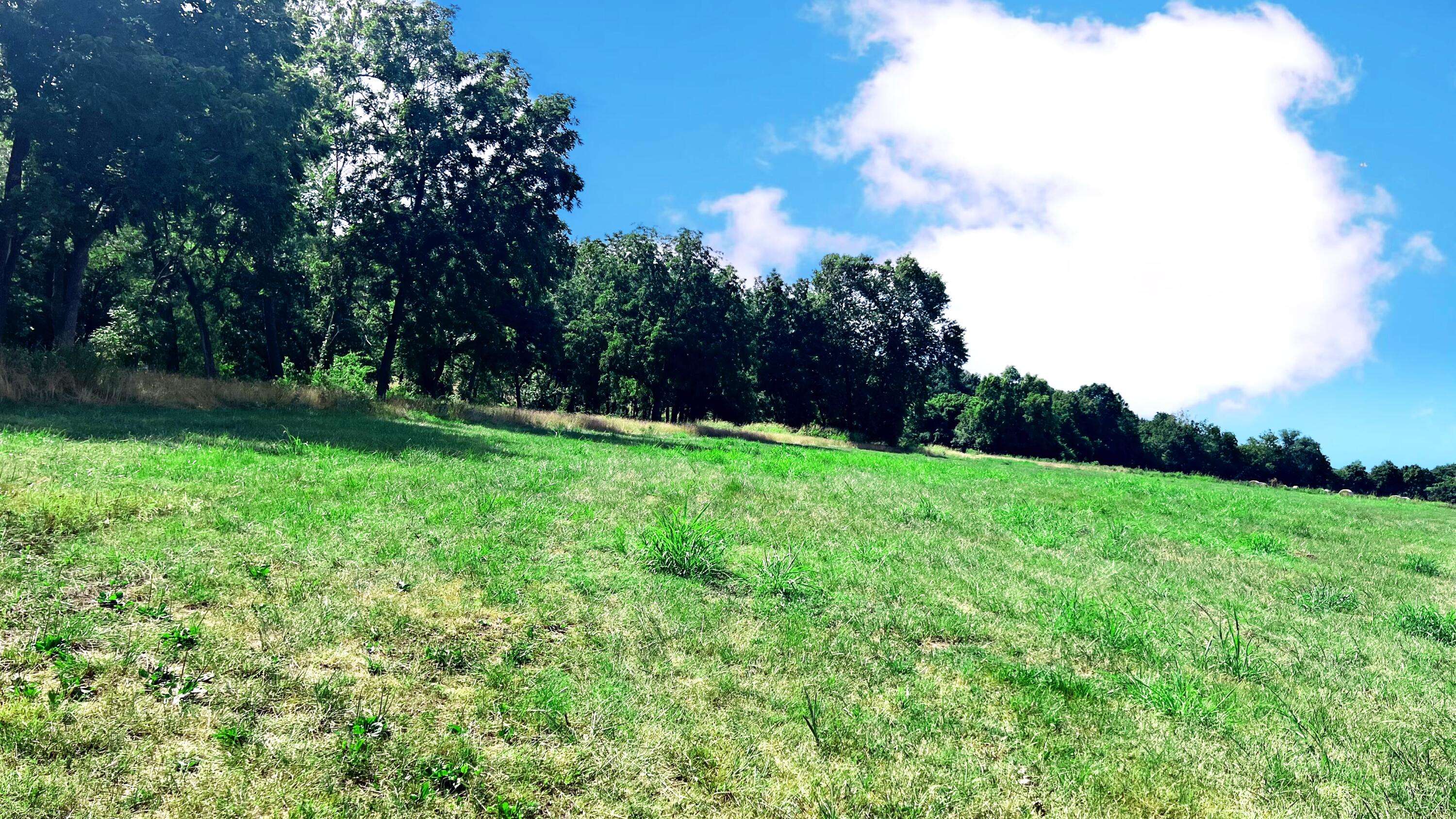 Exeter, MO 65647,Tbd Farm Road 1040