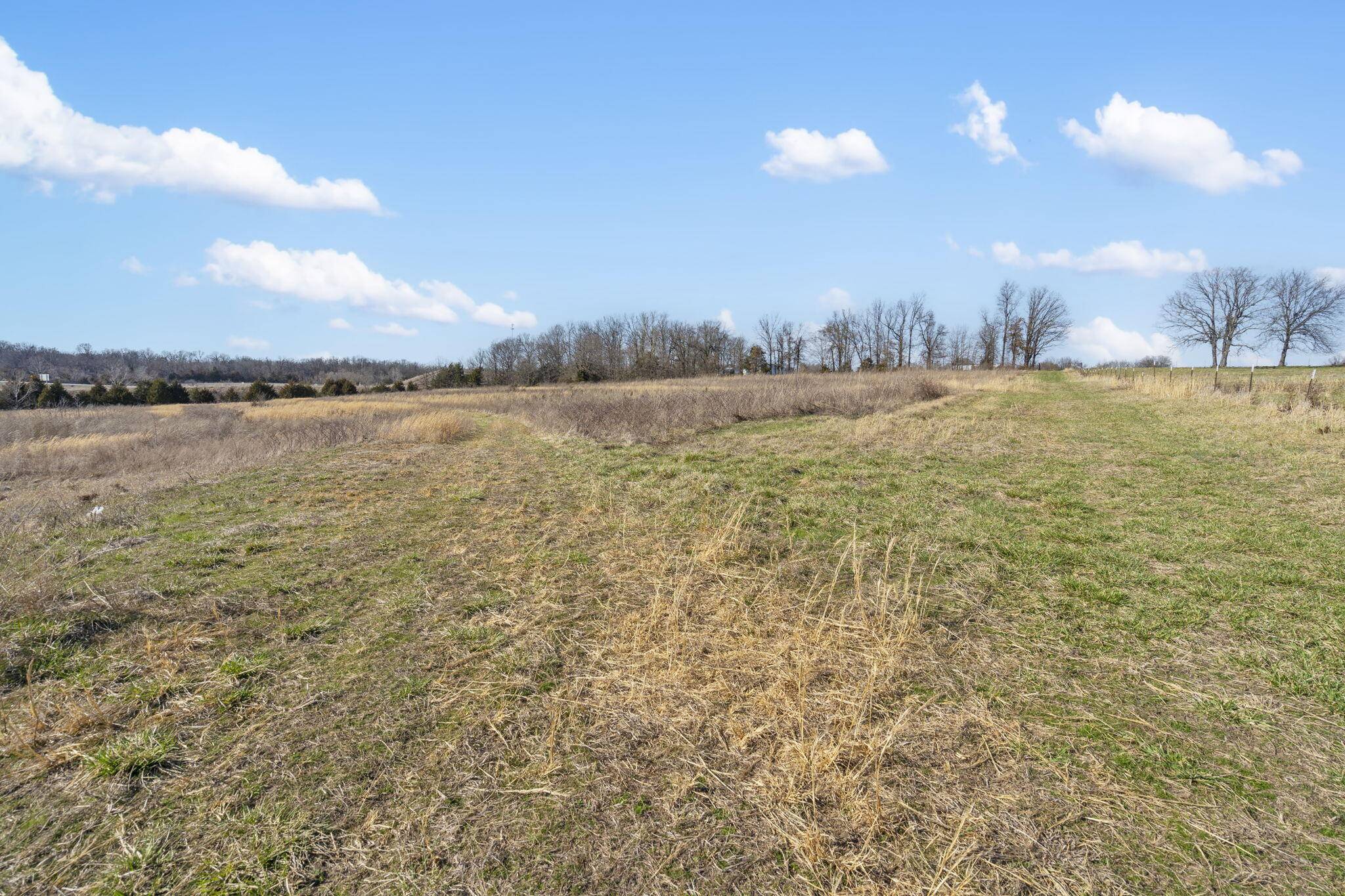 Buffalo, MO 65622,96 Alamo Drive