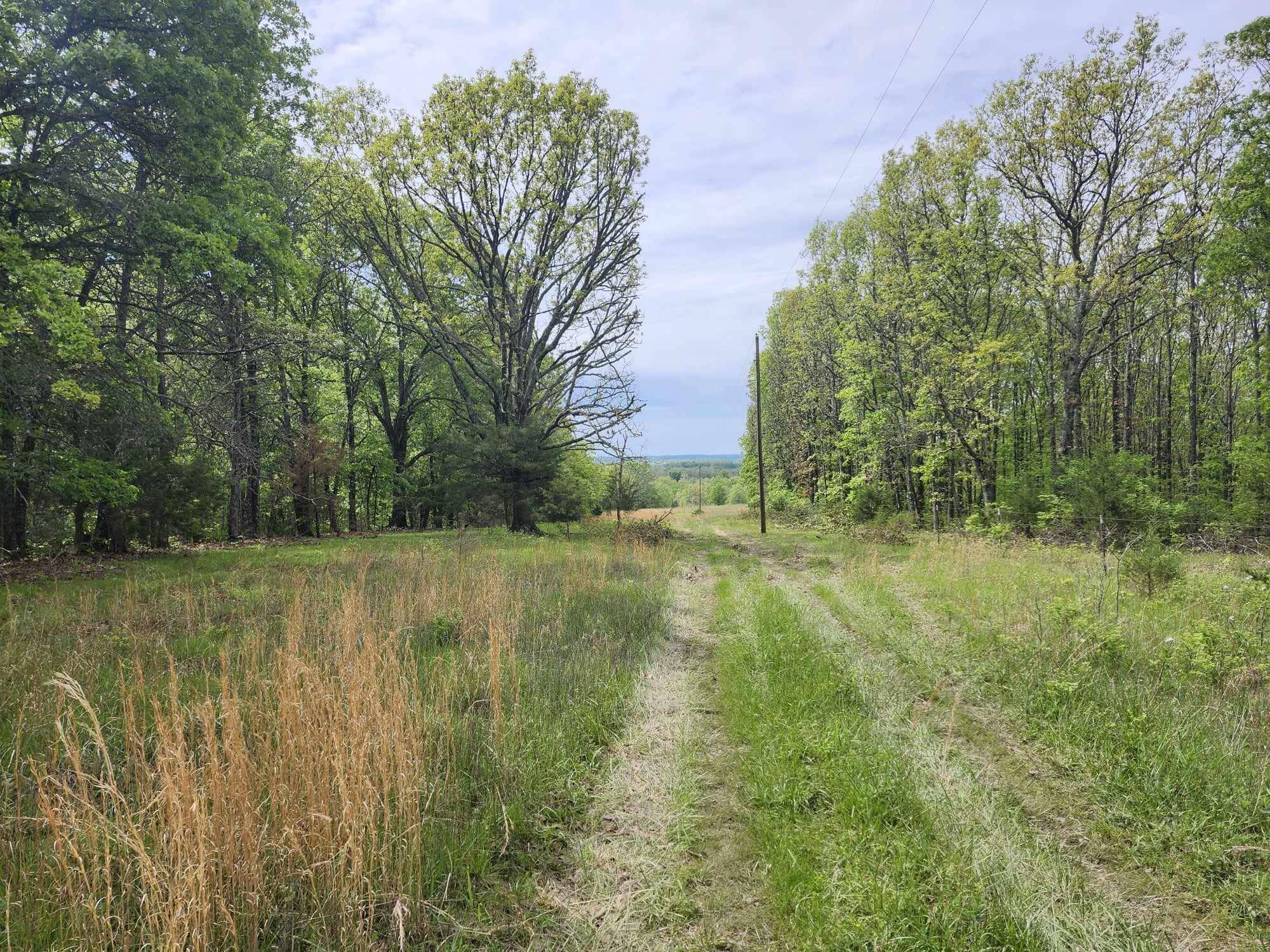 Mountain Grove, MO 65711,000 Highway Ae