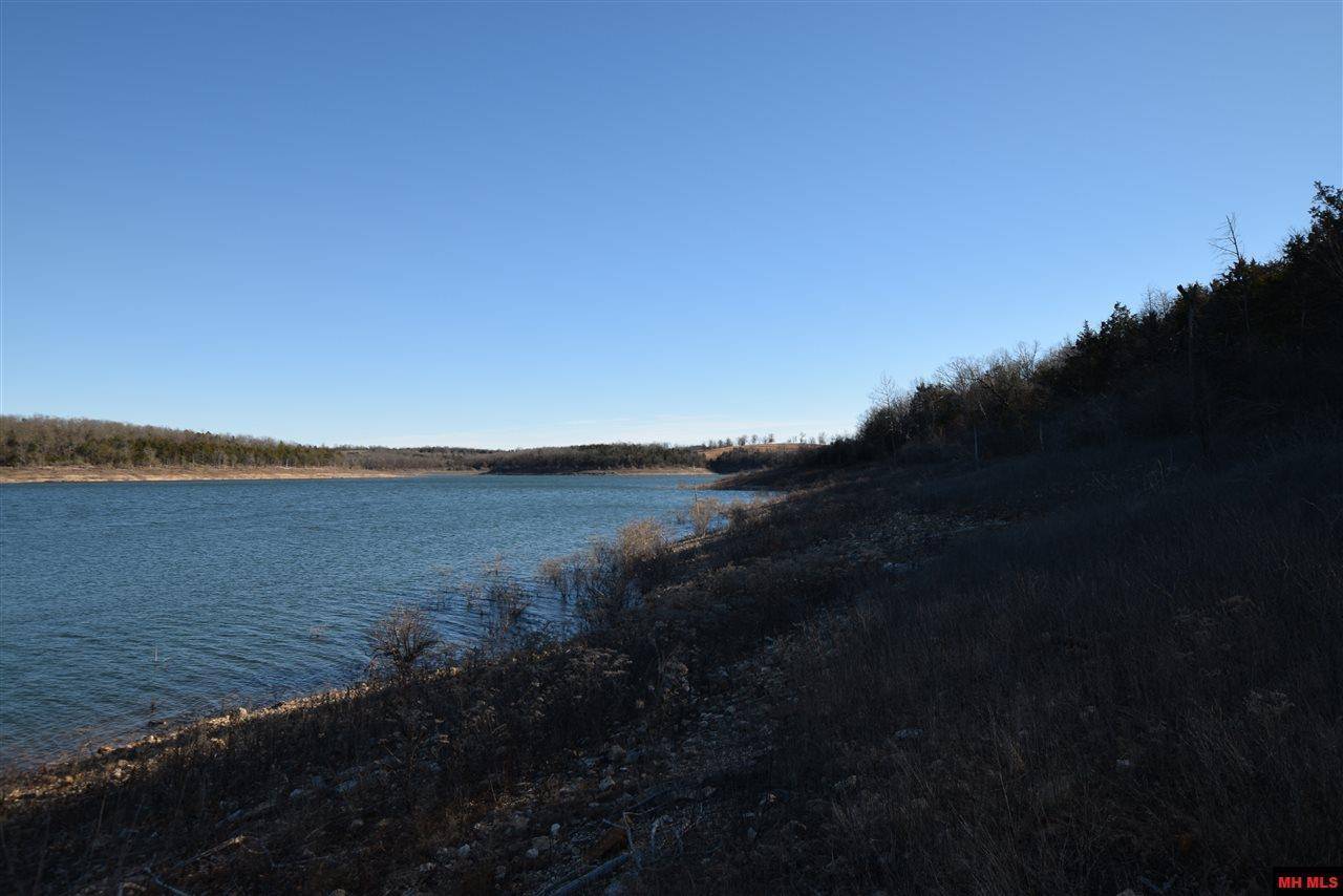 Protem, MO 65733,000 Blue Lake Drive #Lot 25