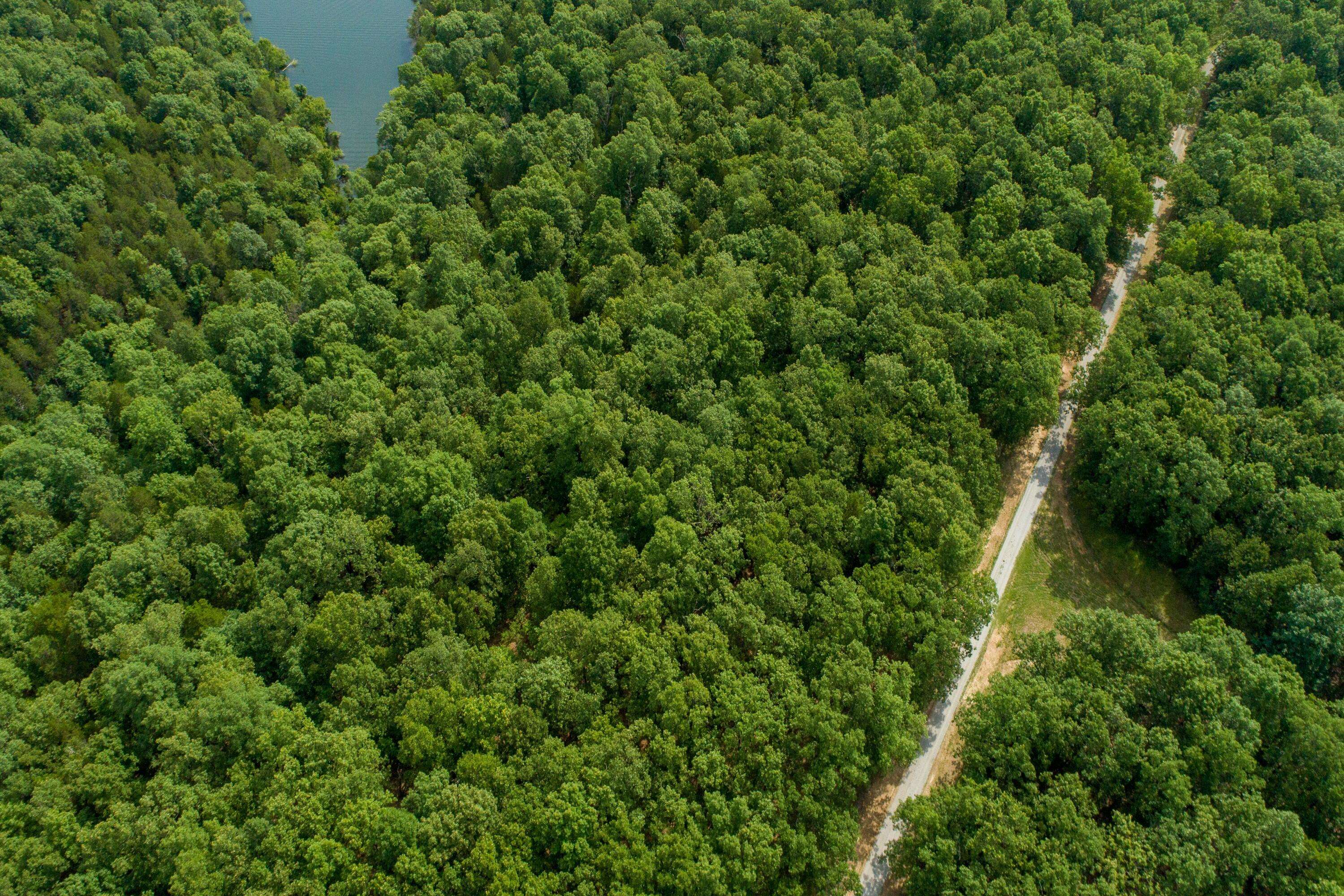 Protem, MO 65733,000 Lakeshore Road #Lot # 7
