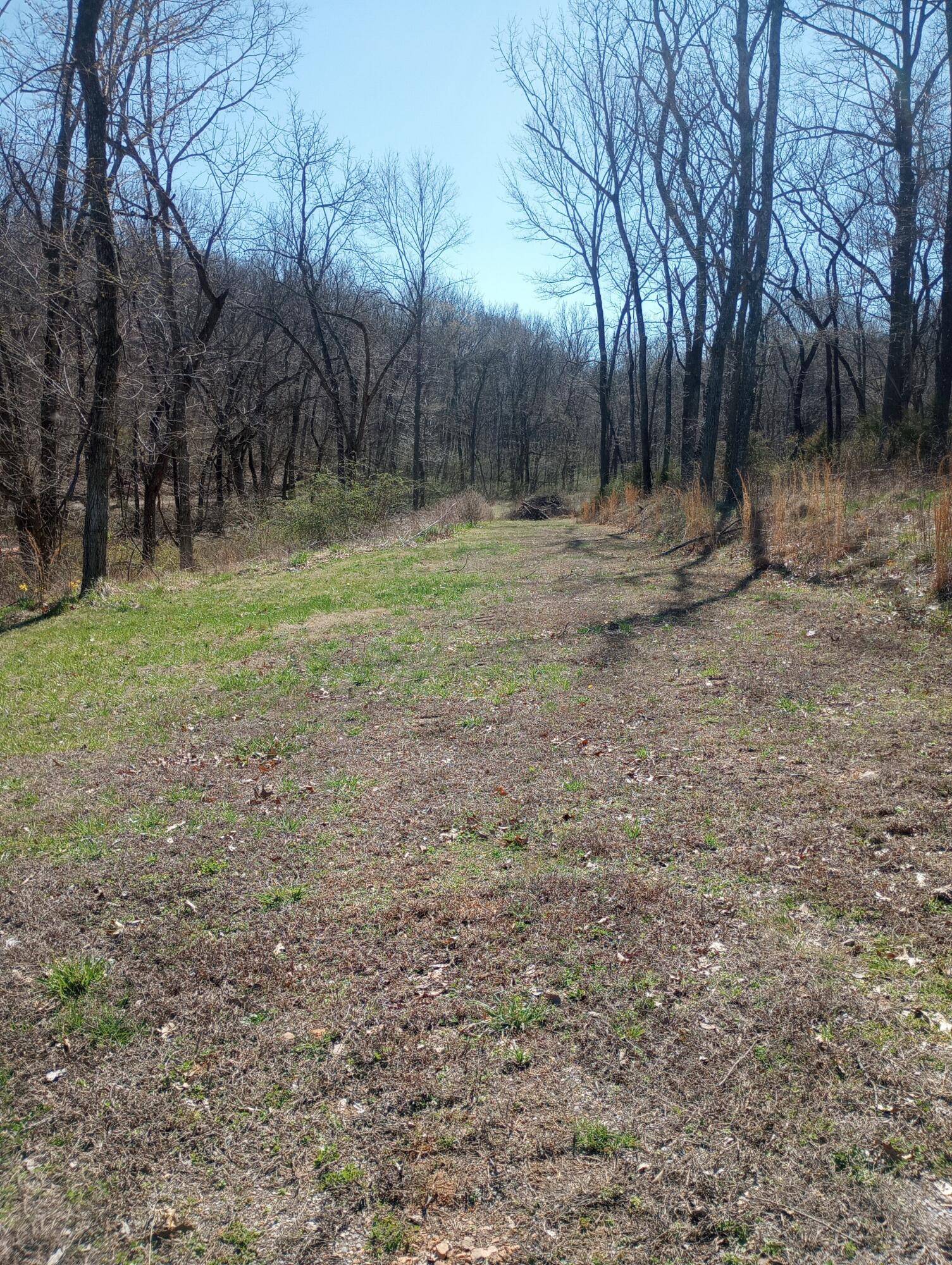 Stark City, MO 64866,11854 Vixen Road