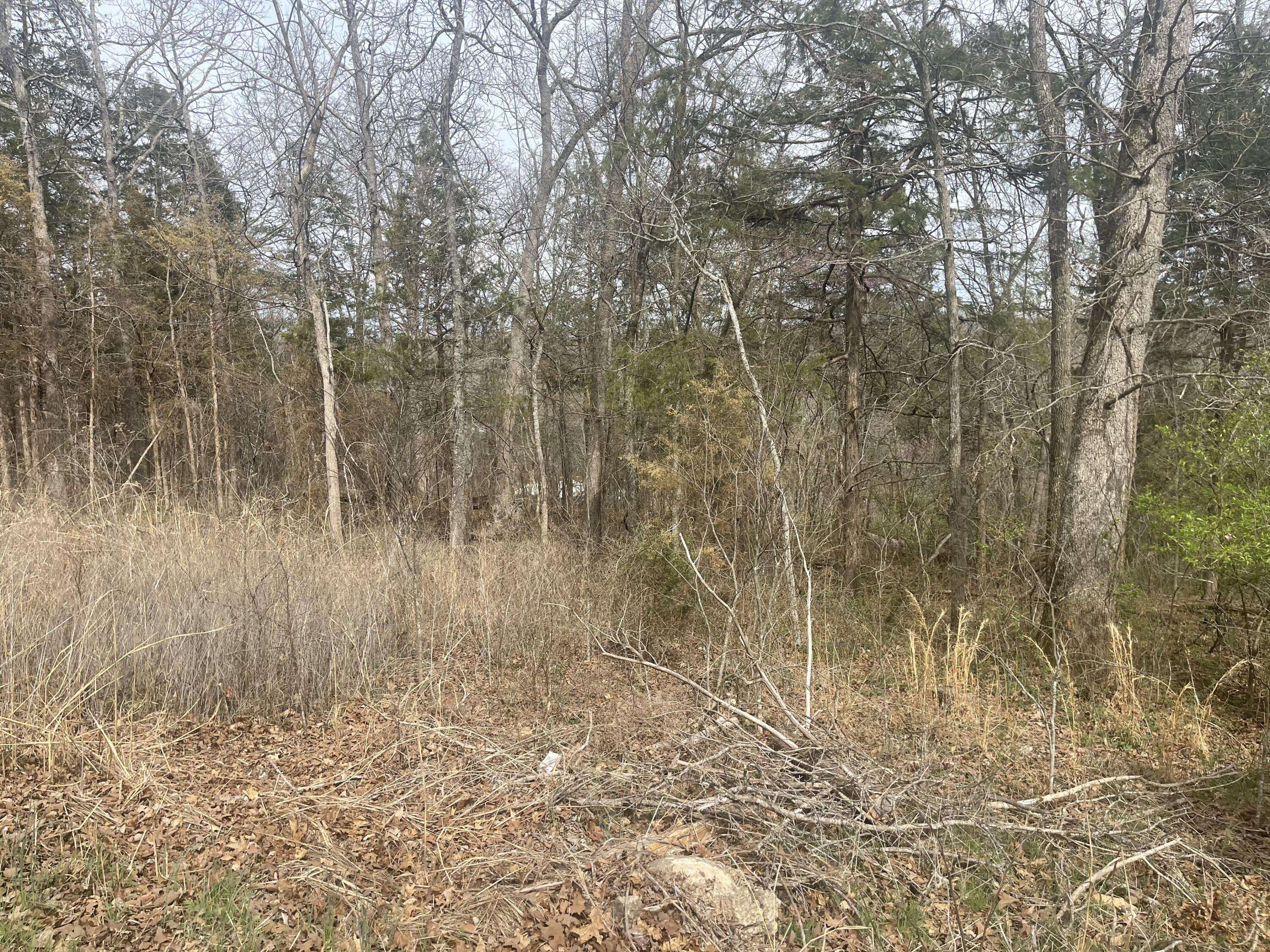 Rockaway Beach, MO 65740,Lot 11 Mach Lane
