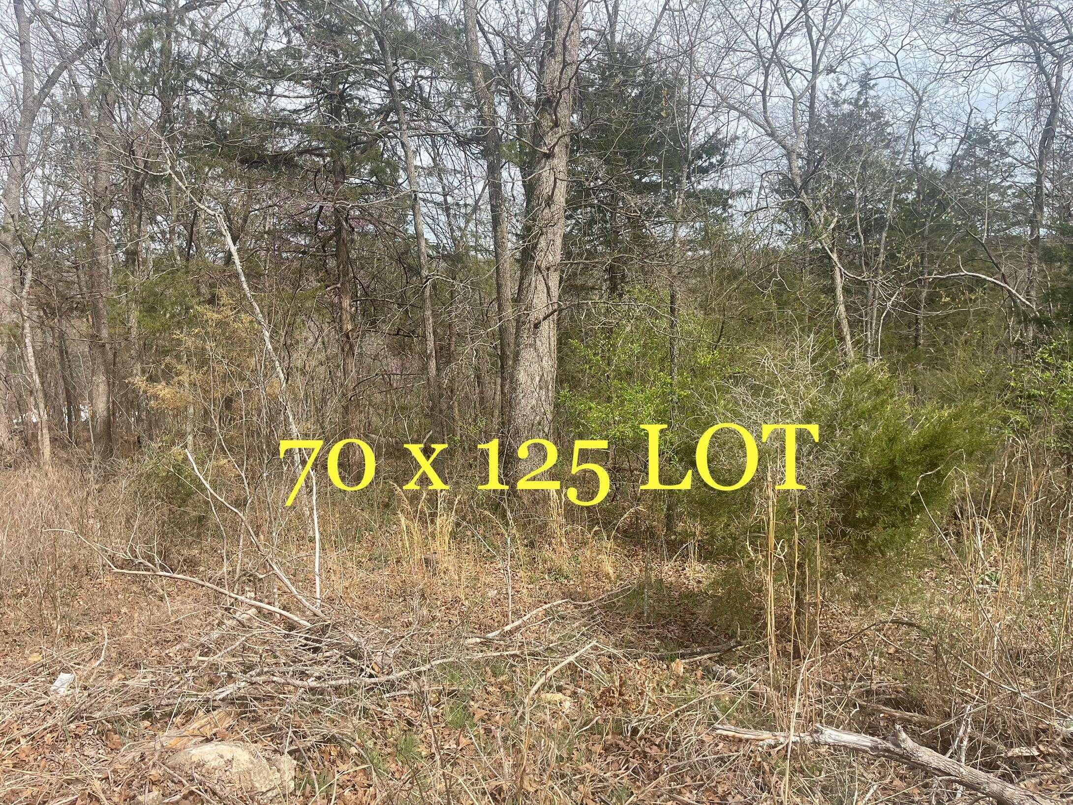Rockaway Beach, MO 65740,Lot 11 Mach Lane