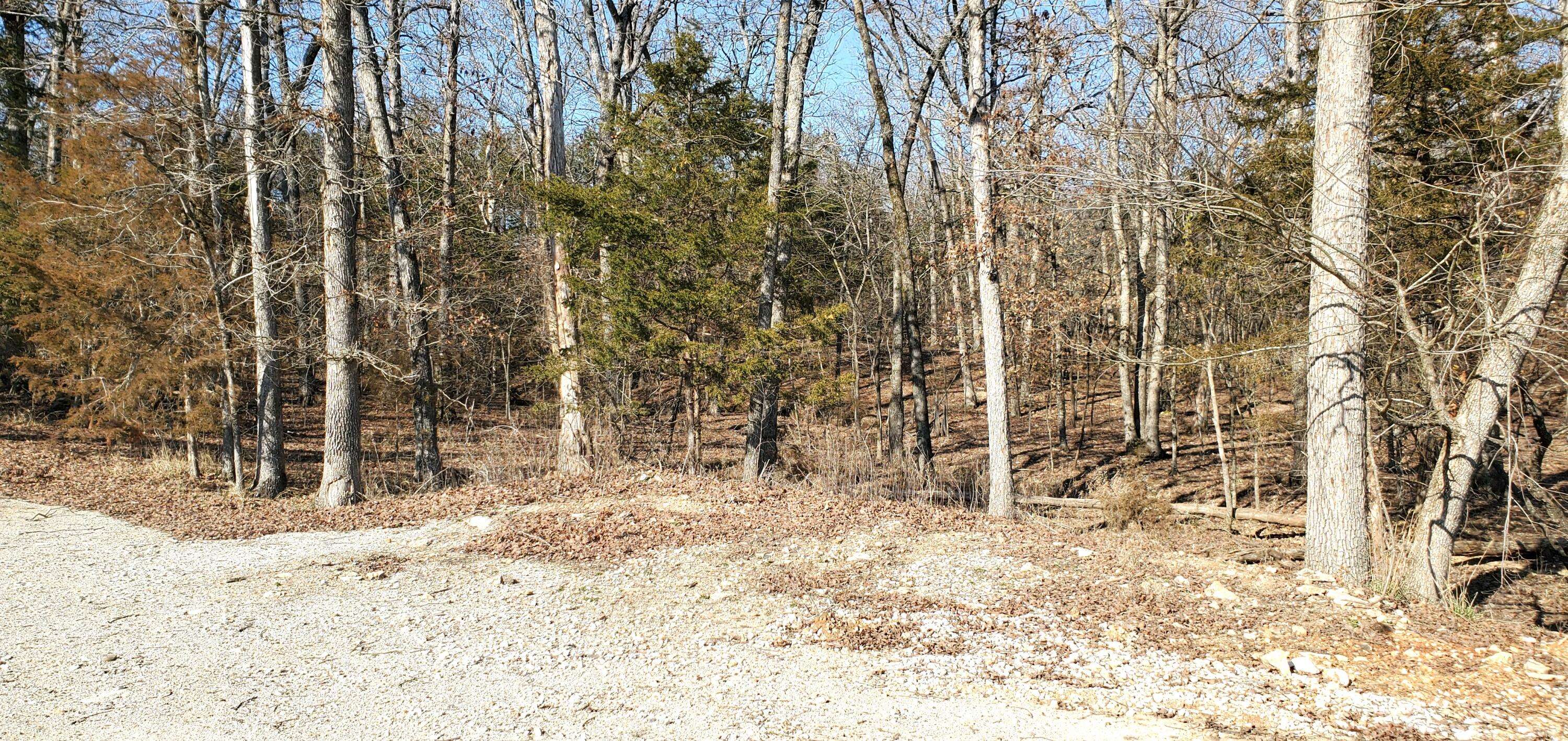 Kimberling City, MO 65686,000 Lot 99 Summer Breeze Lane