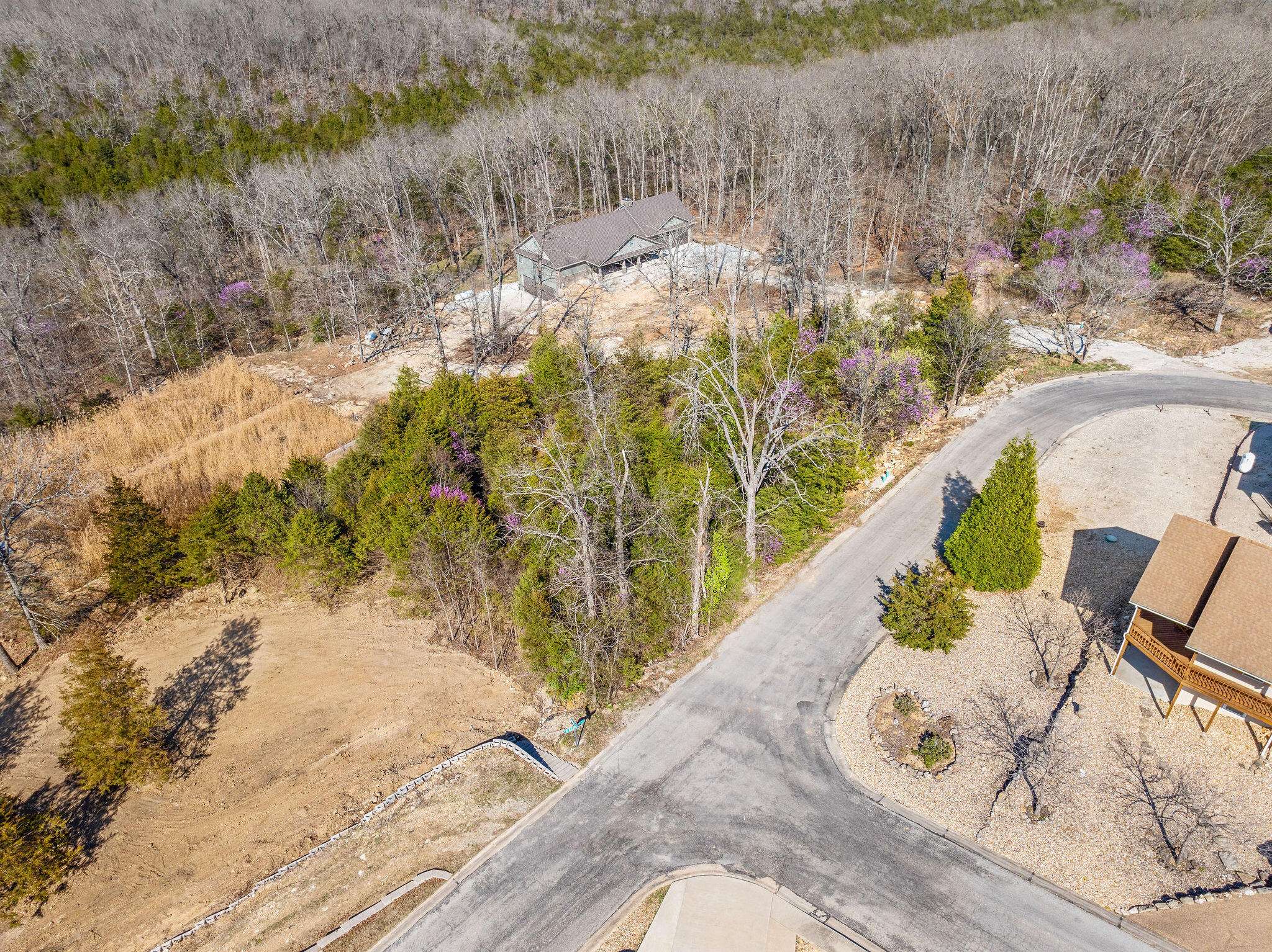 Branson, MO 65616,Tbd Starview Drive