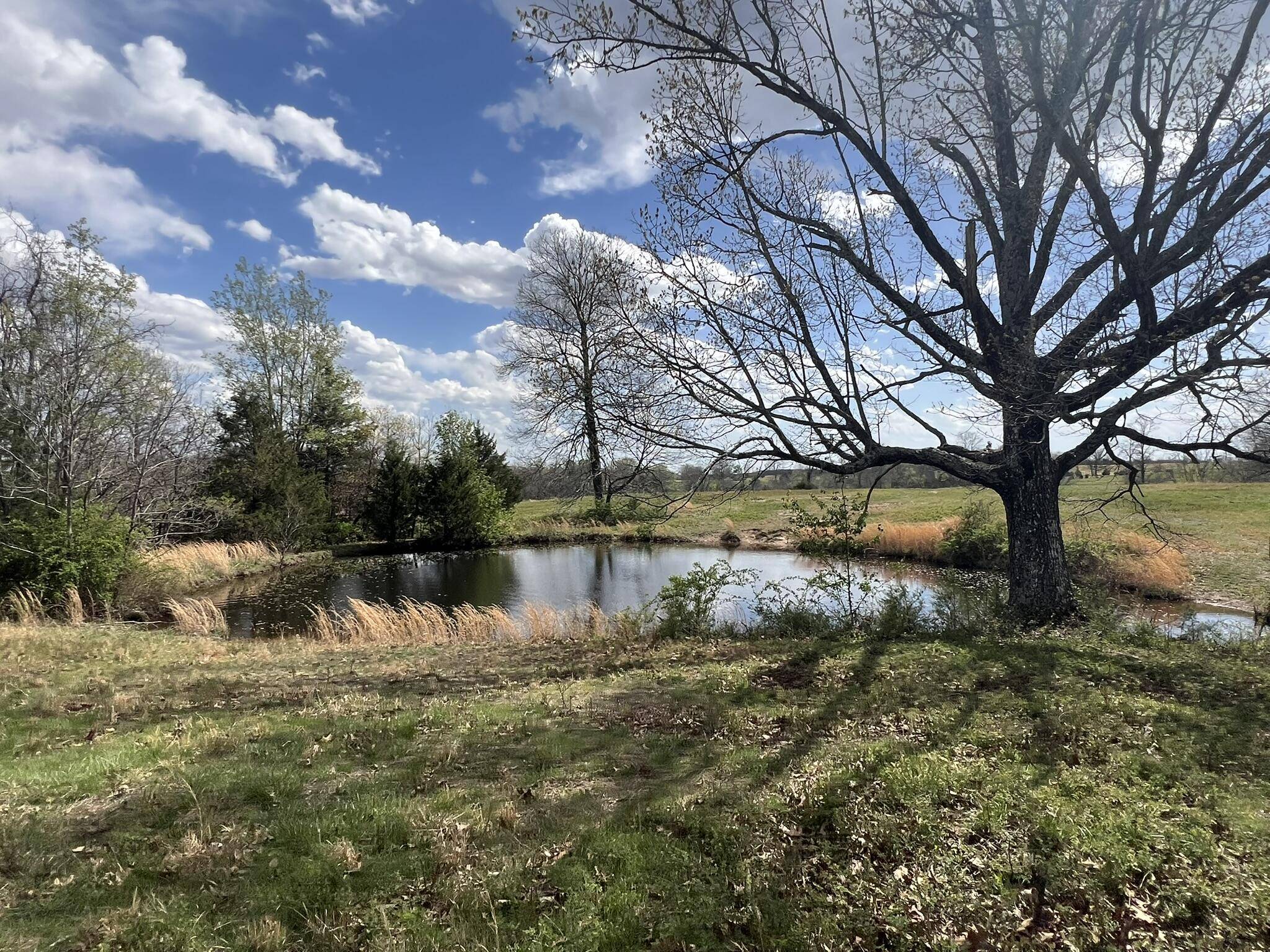 Caulfield, MO 65626,000 County Road 7830