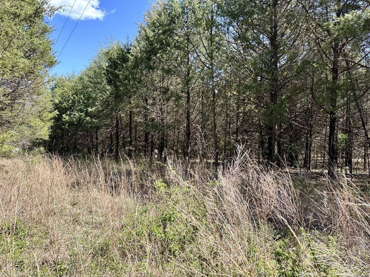 Morrisville, MO 65710,000 E 508th Road