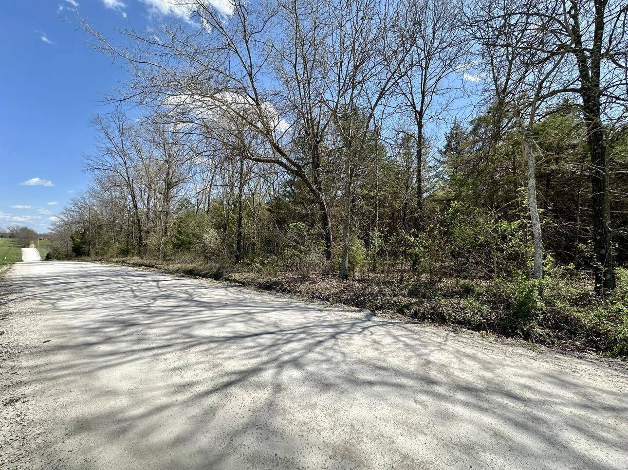 Morrisville, MO 65710,000 E 508th Road