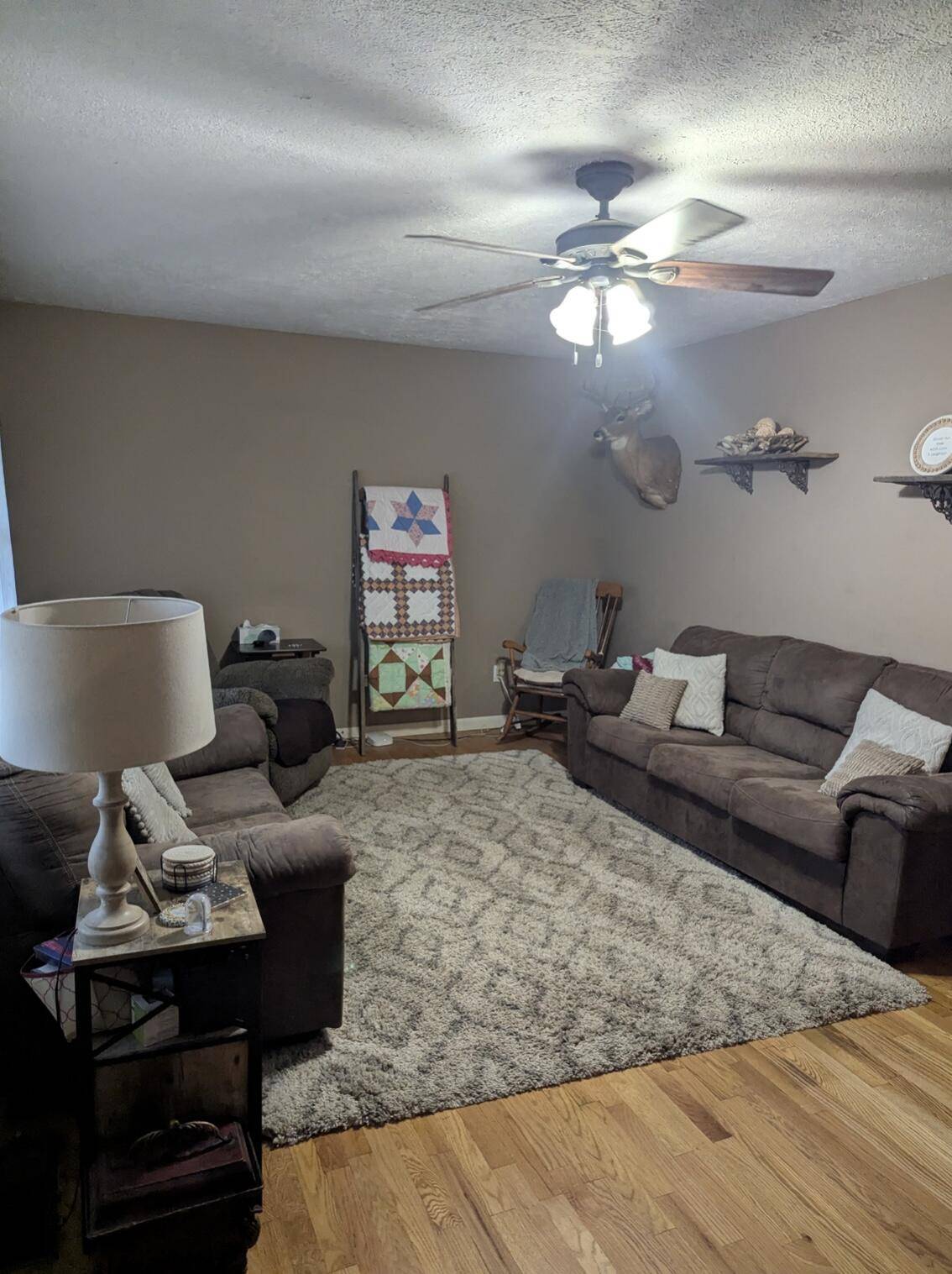 Mammoth Spring, AR 72554,85 Peggy Avenue