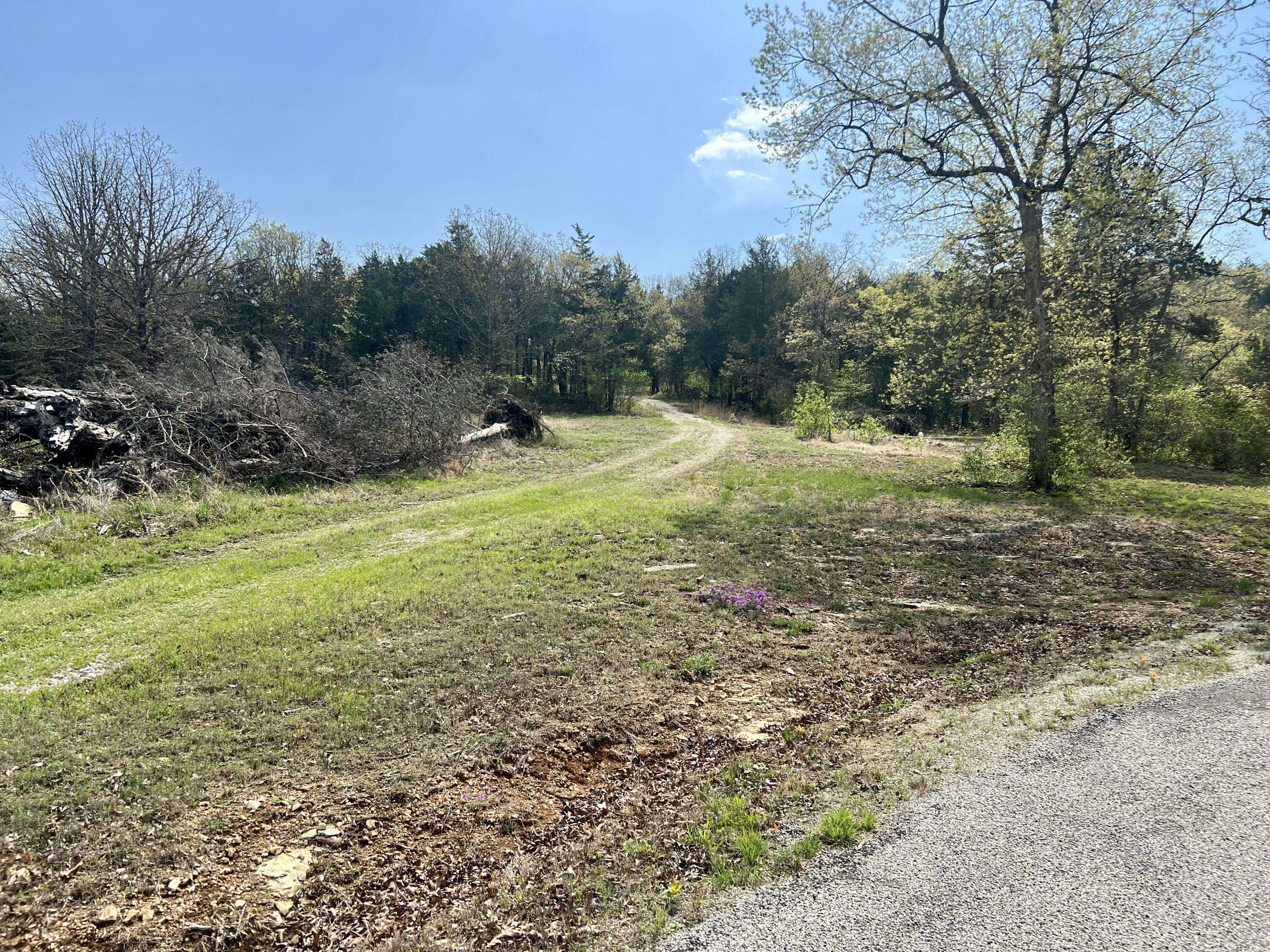 Kissee Mills, MO 65680,155 Lake Terrace Road