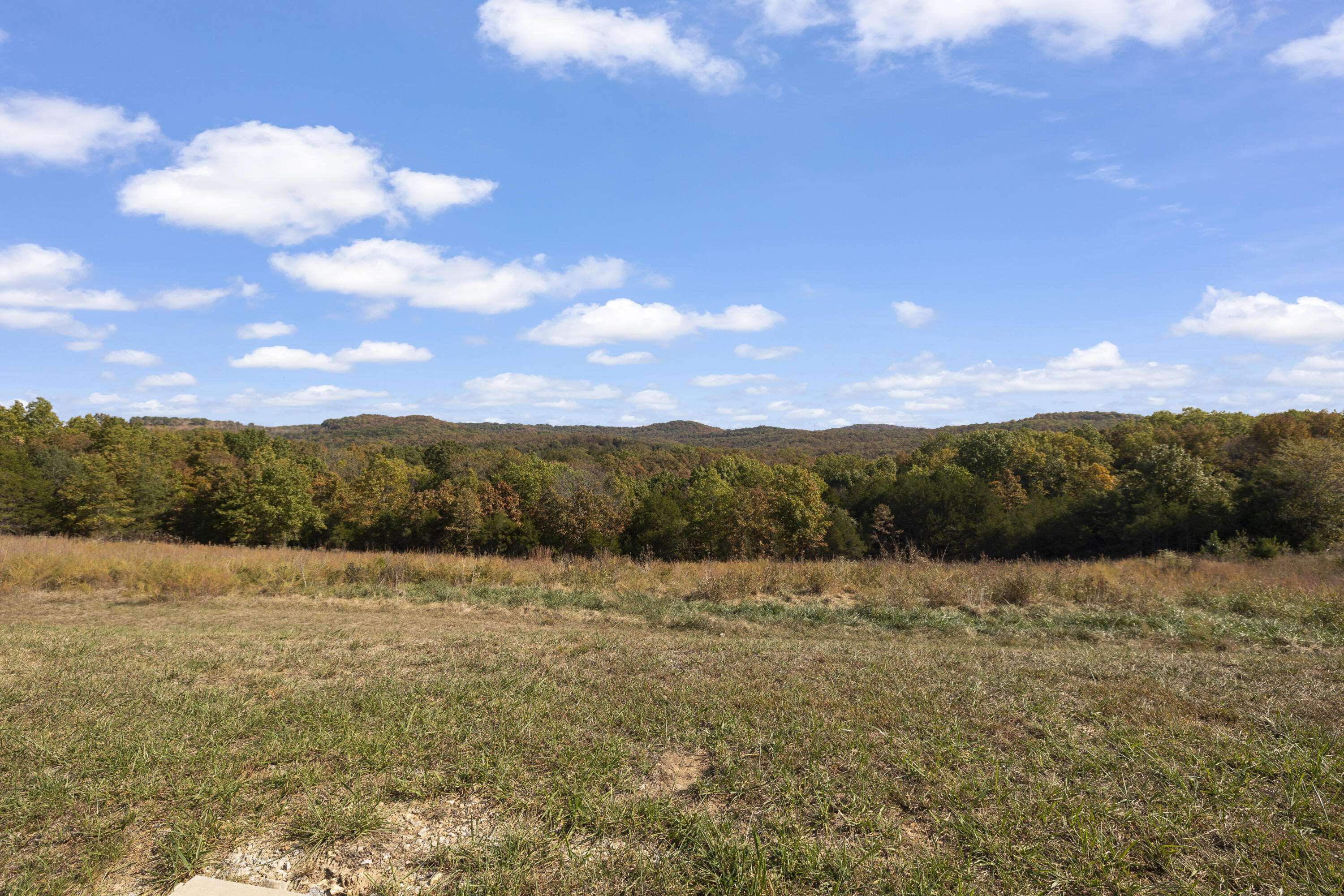 Branson, MO 65616,1020 Mills Hollow Road