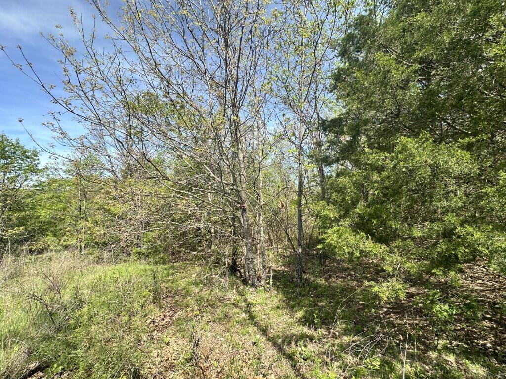 Cape Fair, MO 65624,Lot 25 Hanging Branch Ridge Road