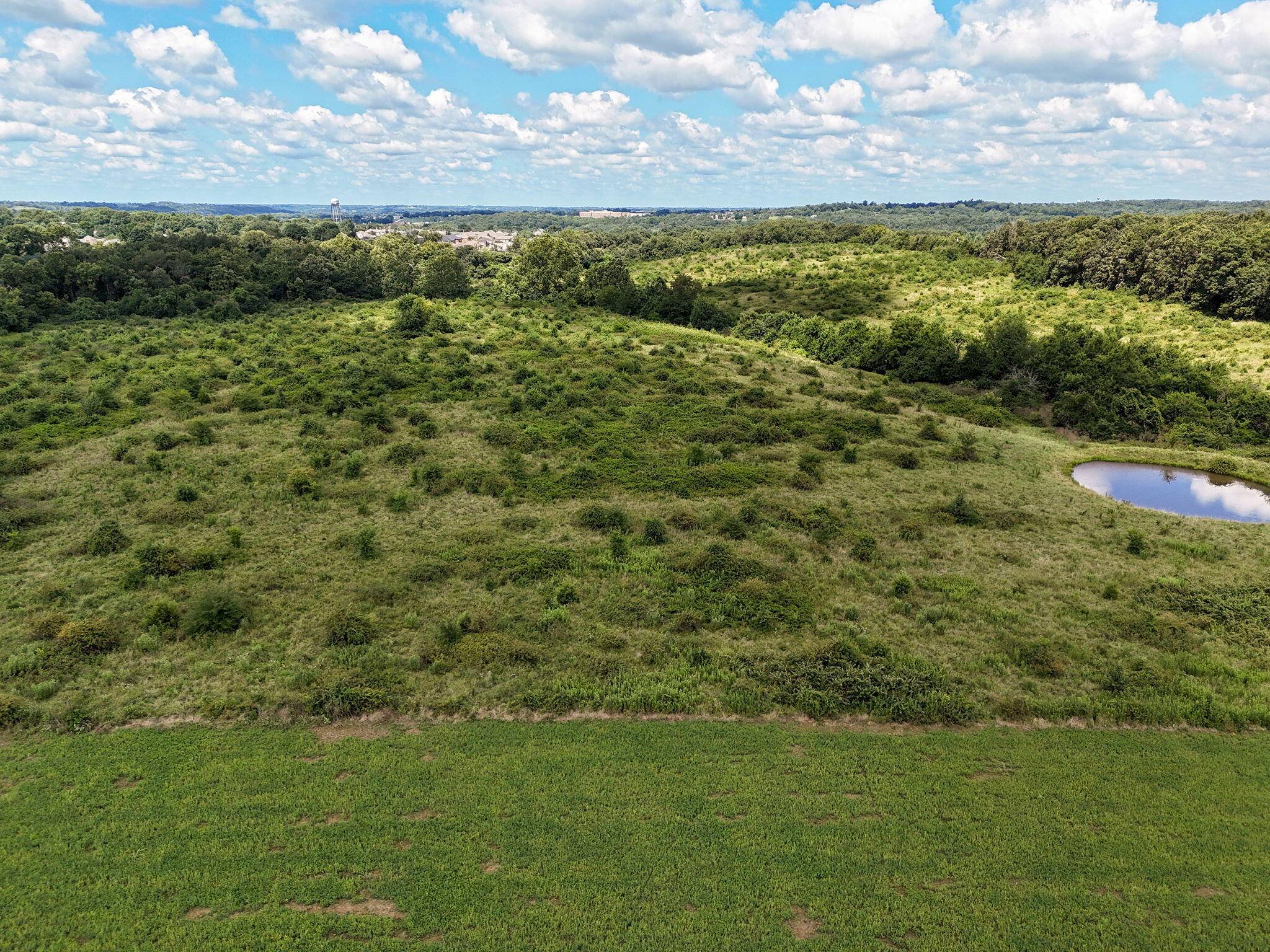 Ozark, MO 65721,Tract 5 Hawkins Court