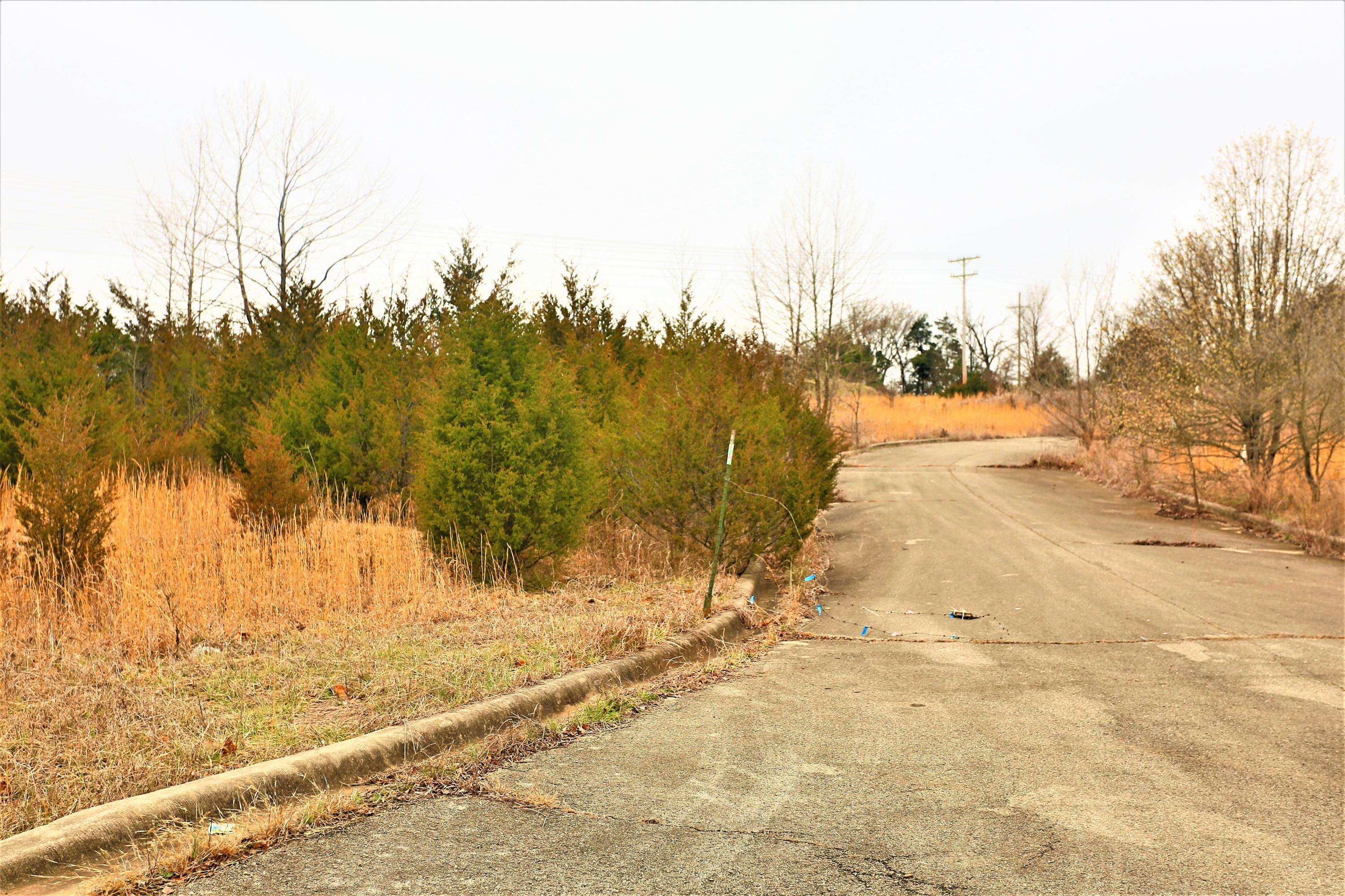 Hollister, MO 65672,1278 Coon Creek Road