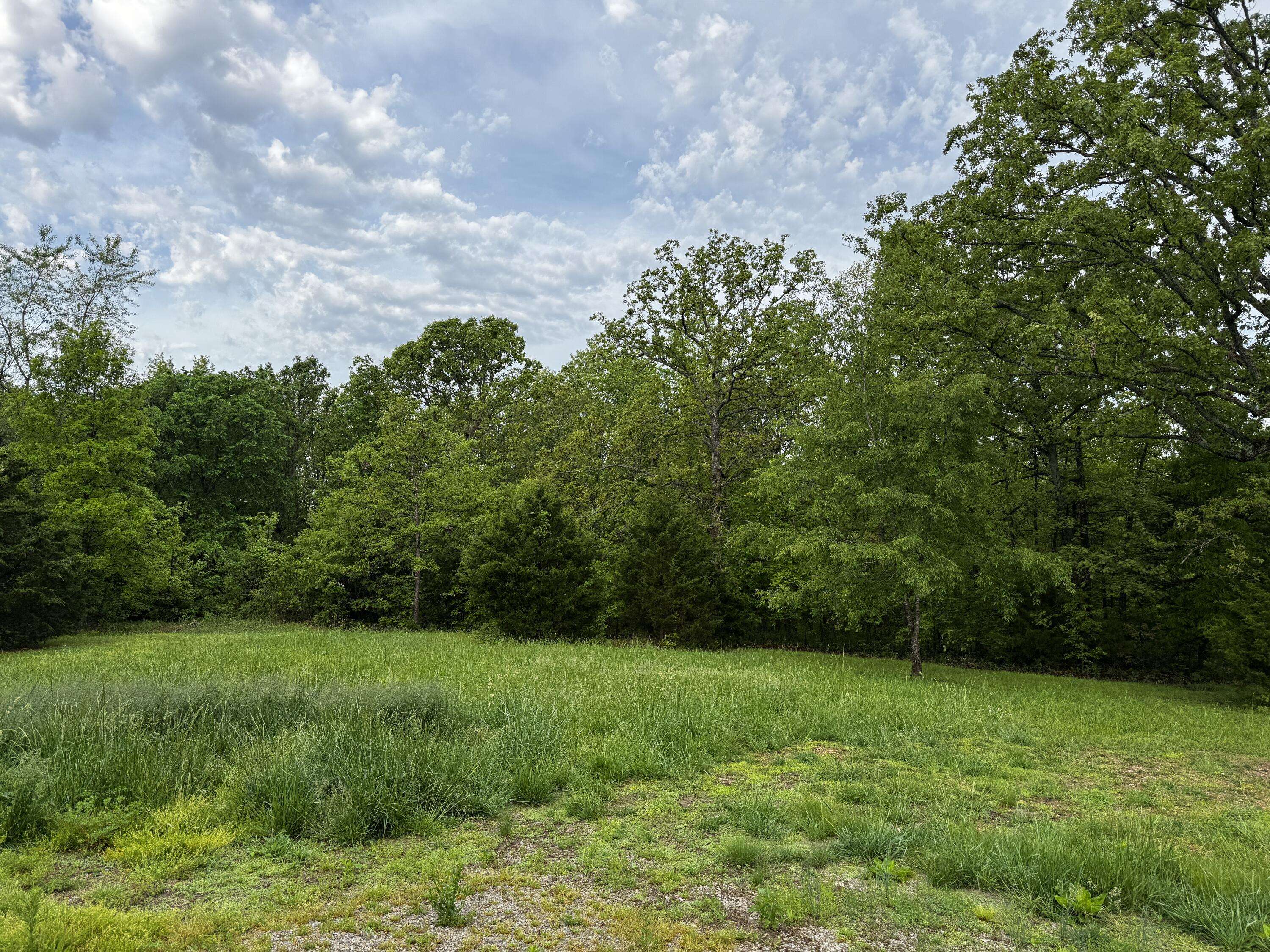 West Plains, MO 65775,9881 County Road 6970