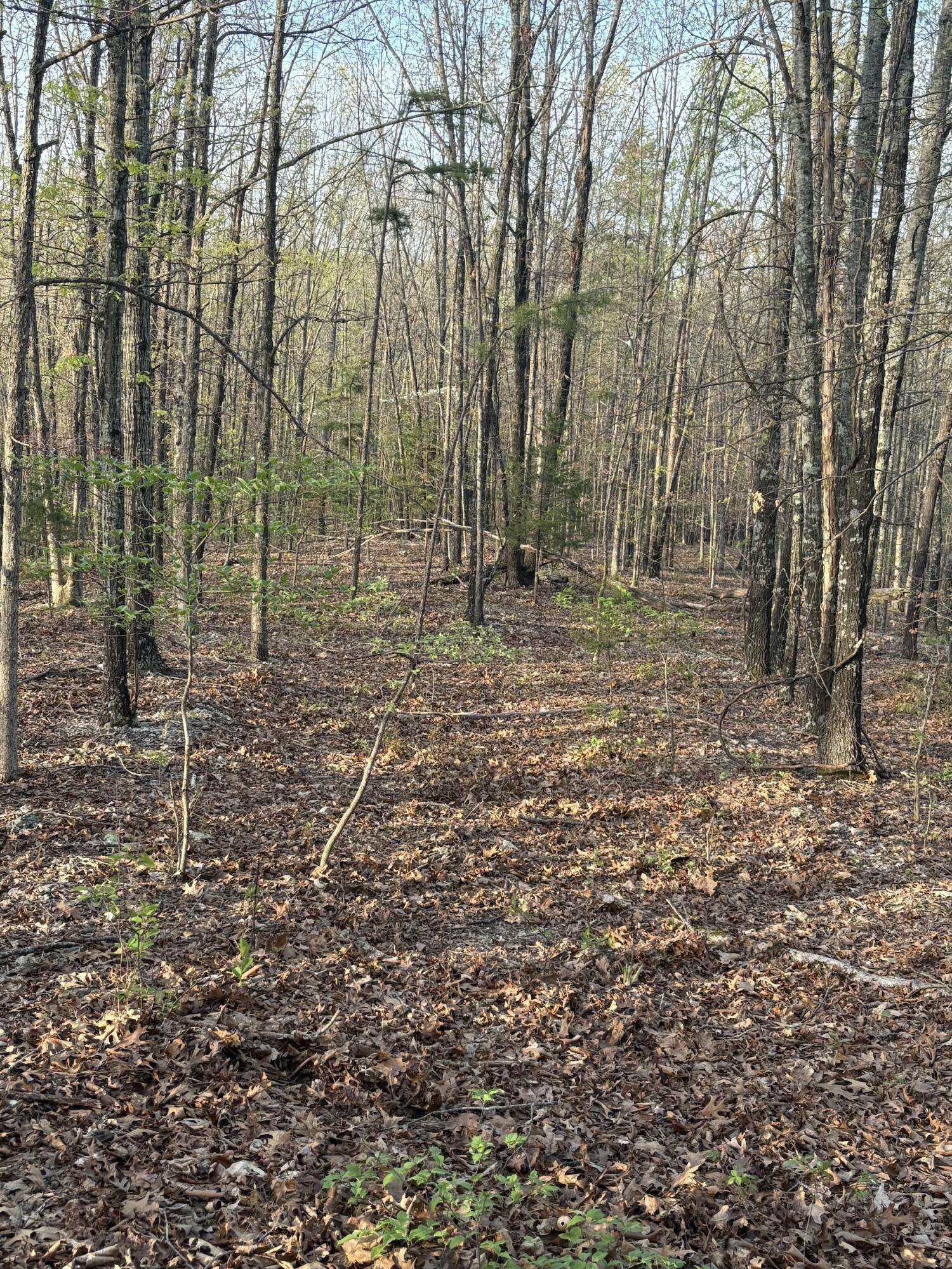 Eminence, MO 65466,000 County Road Ha