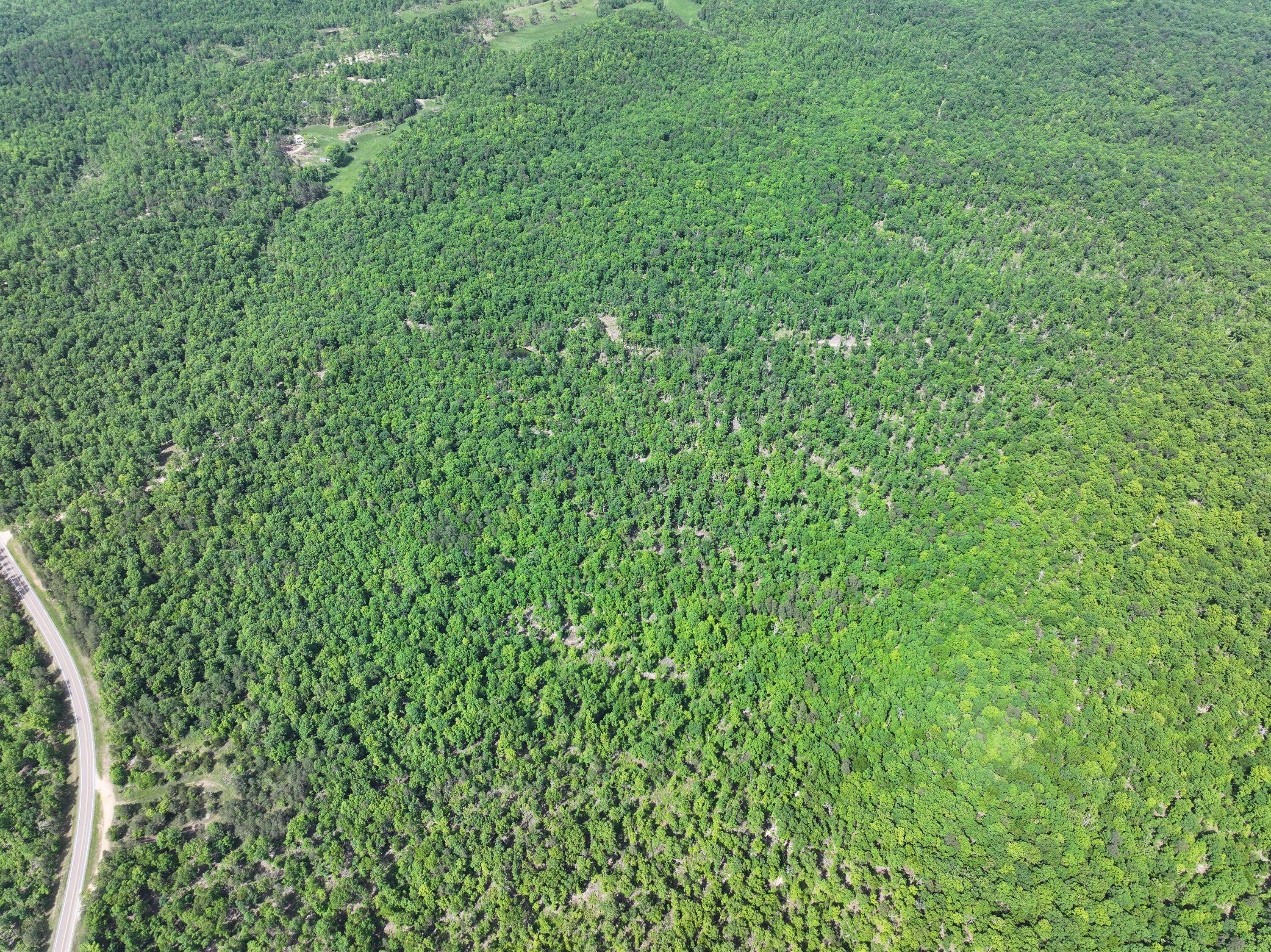 Ellington, MO 63638,000 Highway 21 And County Road 546