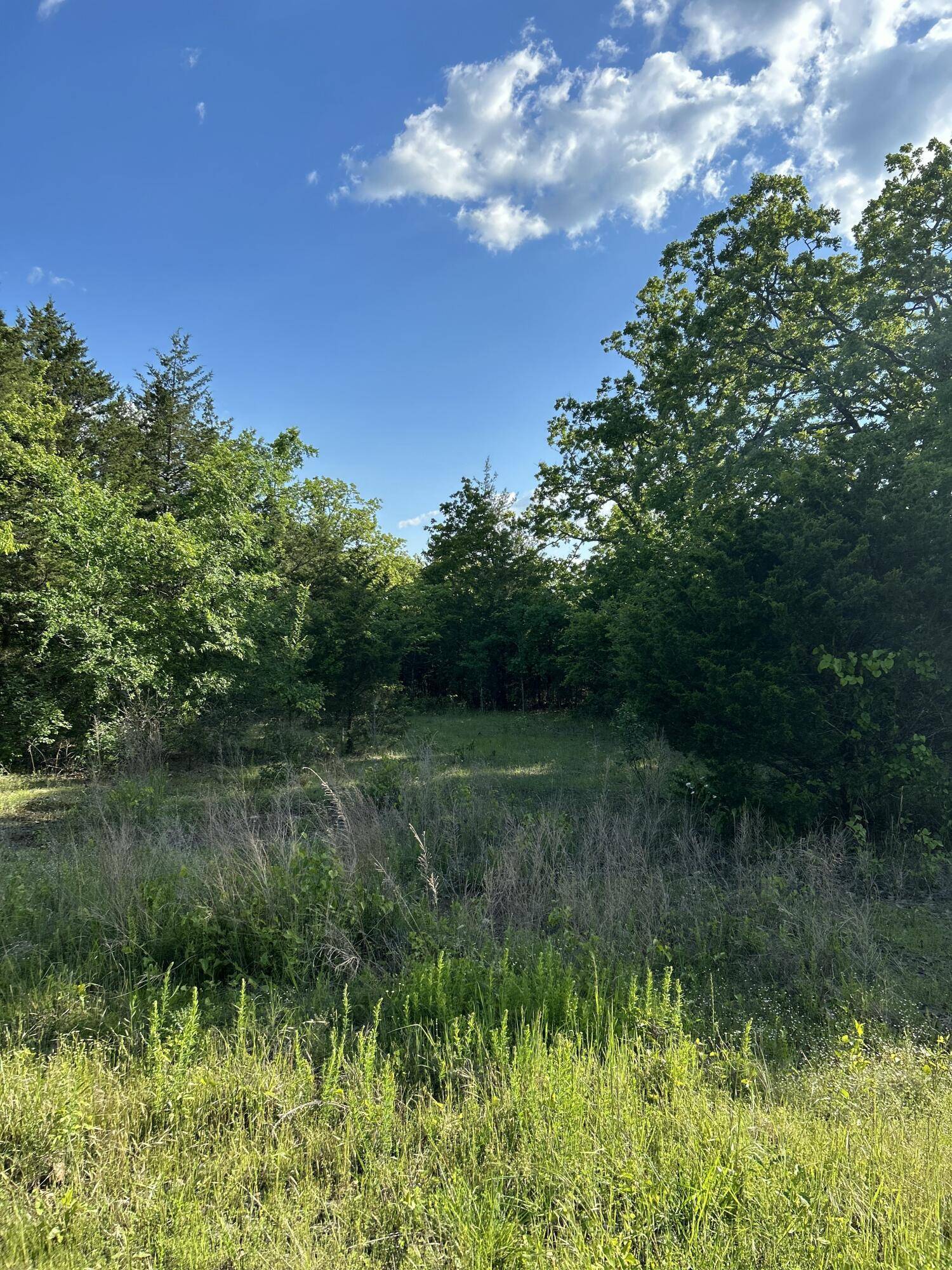 Forsyth, MO 65653,340 Shady Oaks Shore