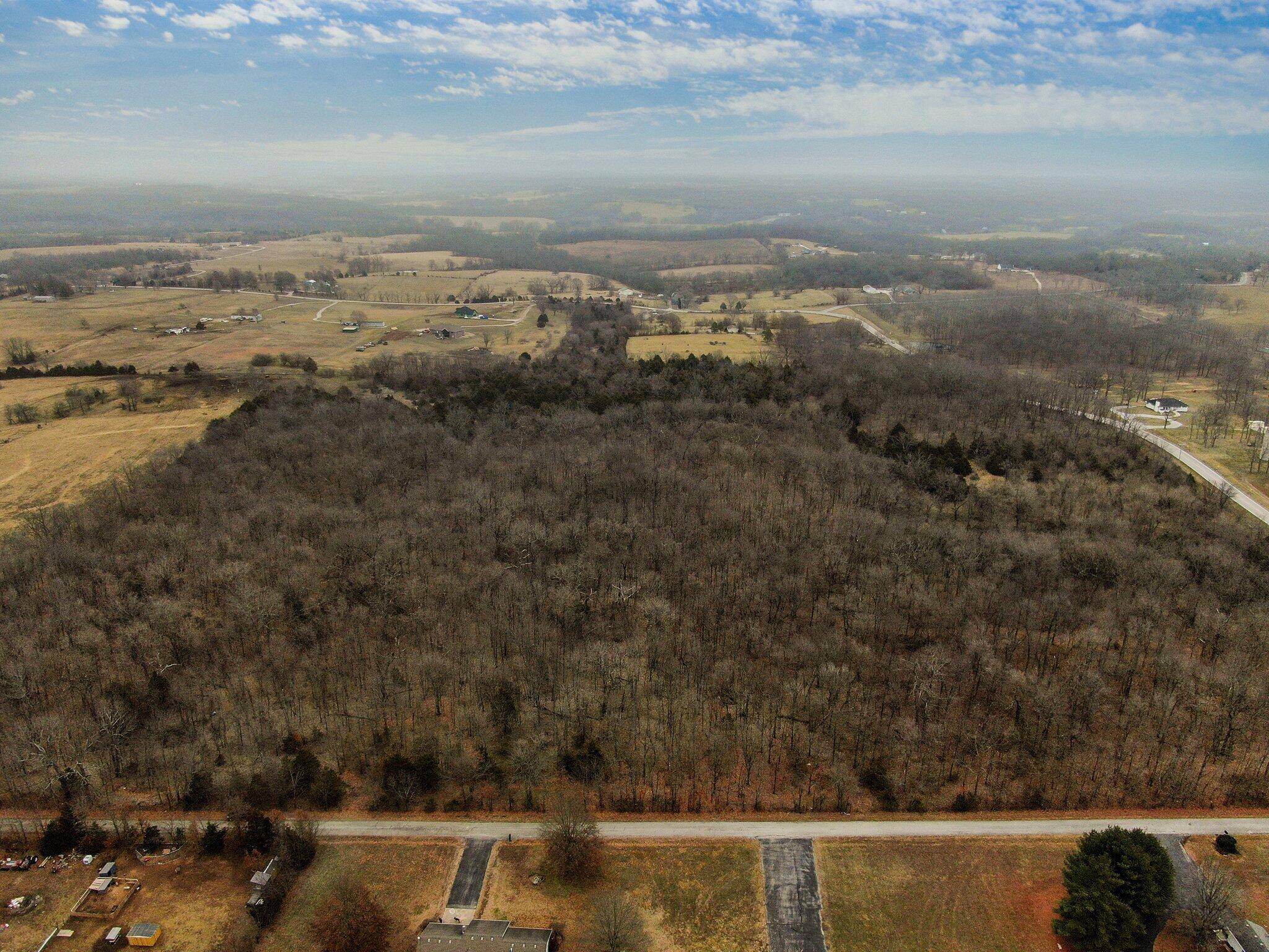 Billings, MO 65610,Tract 1 Maples Lane