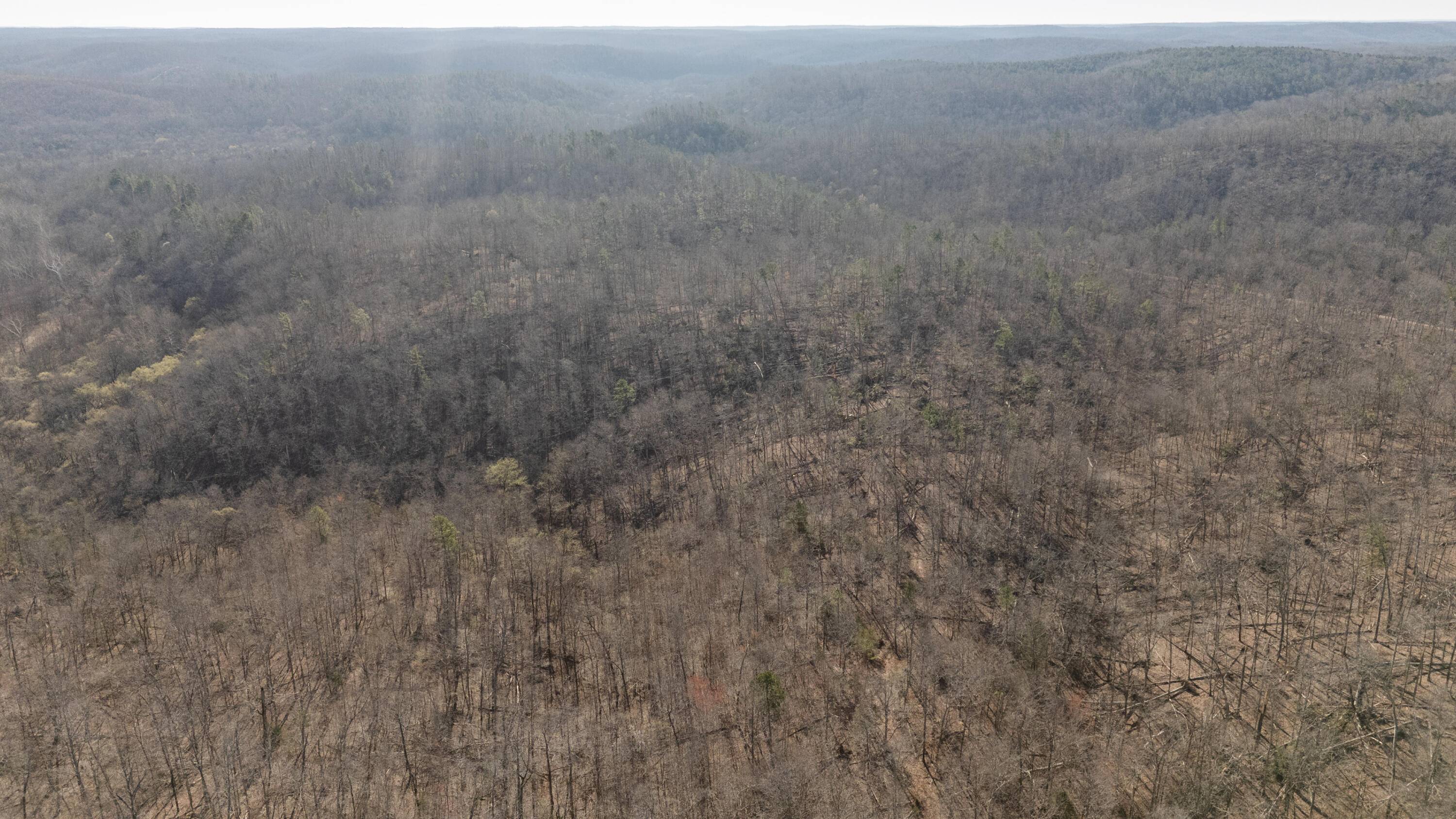 Winona, MO 65588,000 Highway 19