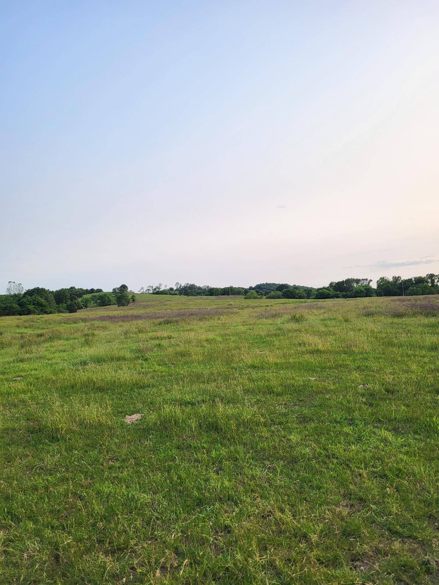 Mountain Grove, MO 65711,000 Gravelpoint Road