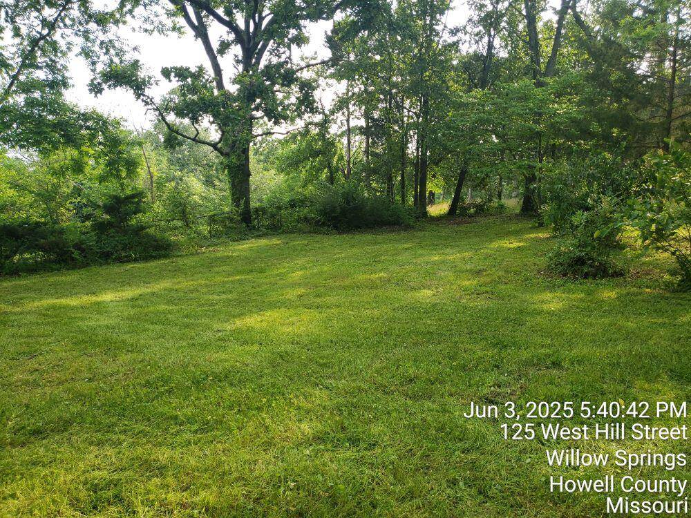 Willow Springs, MO 65793,125 Hill Street