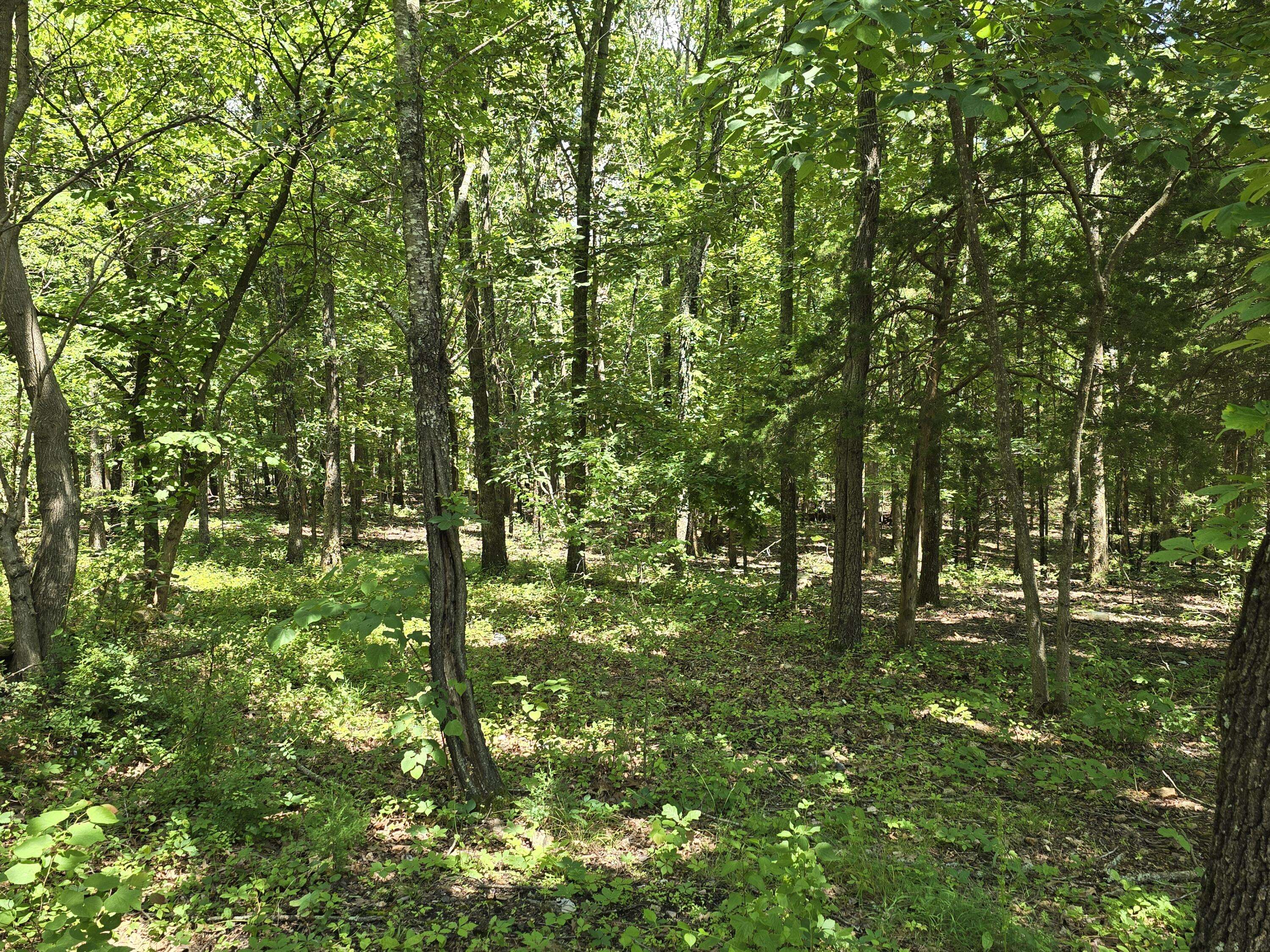 Mountain View, MO 65548,1534 County Road 2990