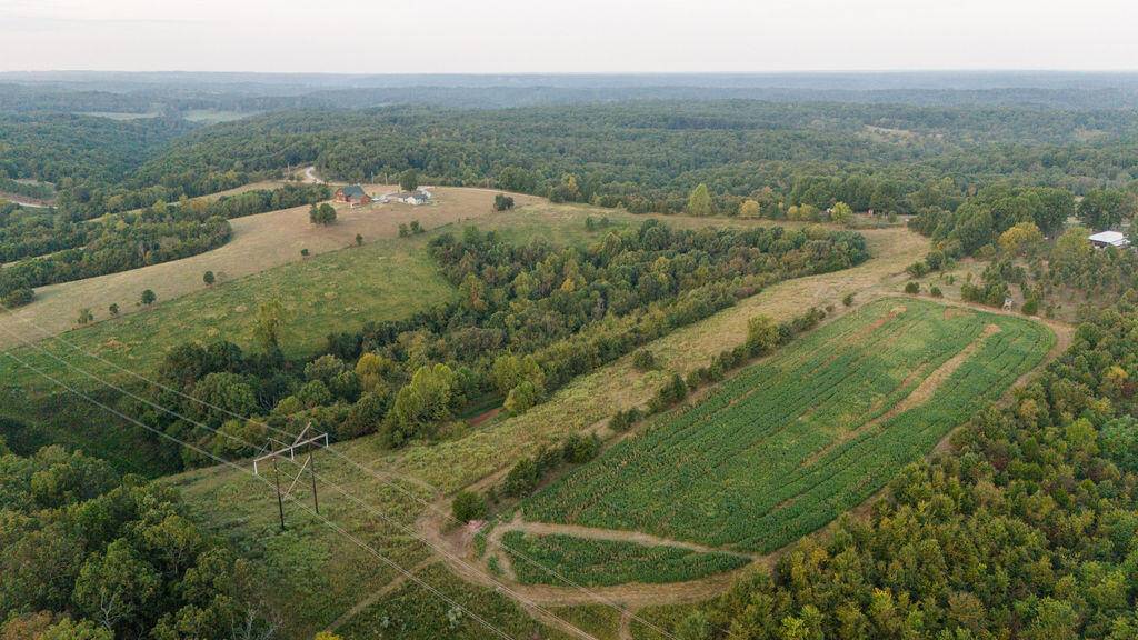 Noel, MO 64854,0000 Low Gap Road
