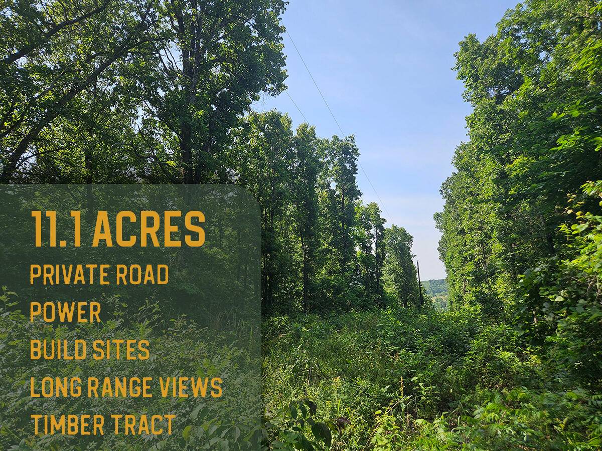 Norwood, MO 65717,0 Private Drive Off Yy
