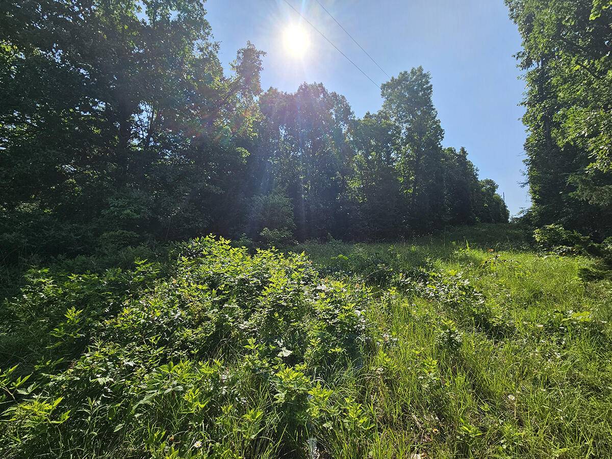 Norwood, MO 65717,0 Private Drive Off Yy