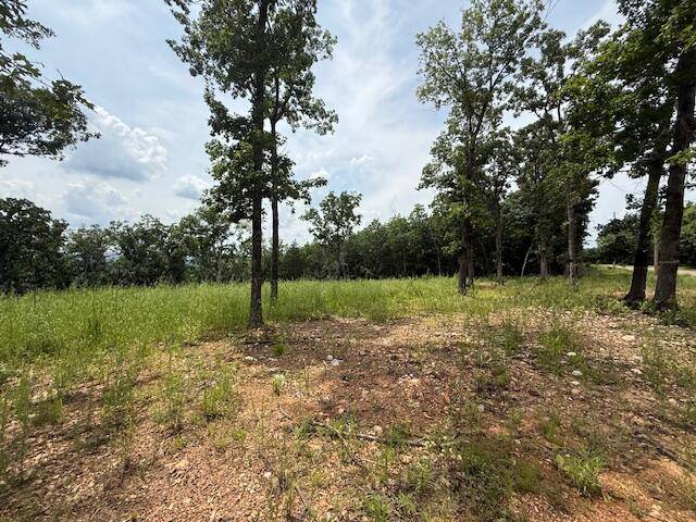 Pittsburg, MO 65724,2.7 Acres County Road 245