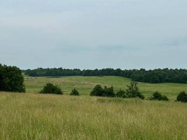 Mountain View, MO 65548,9861-9899 County Road 2680