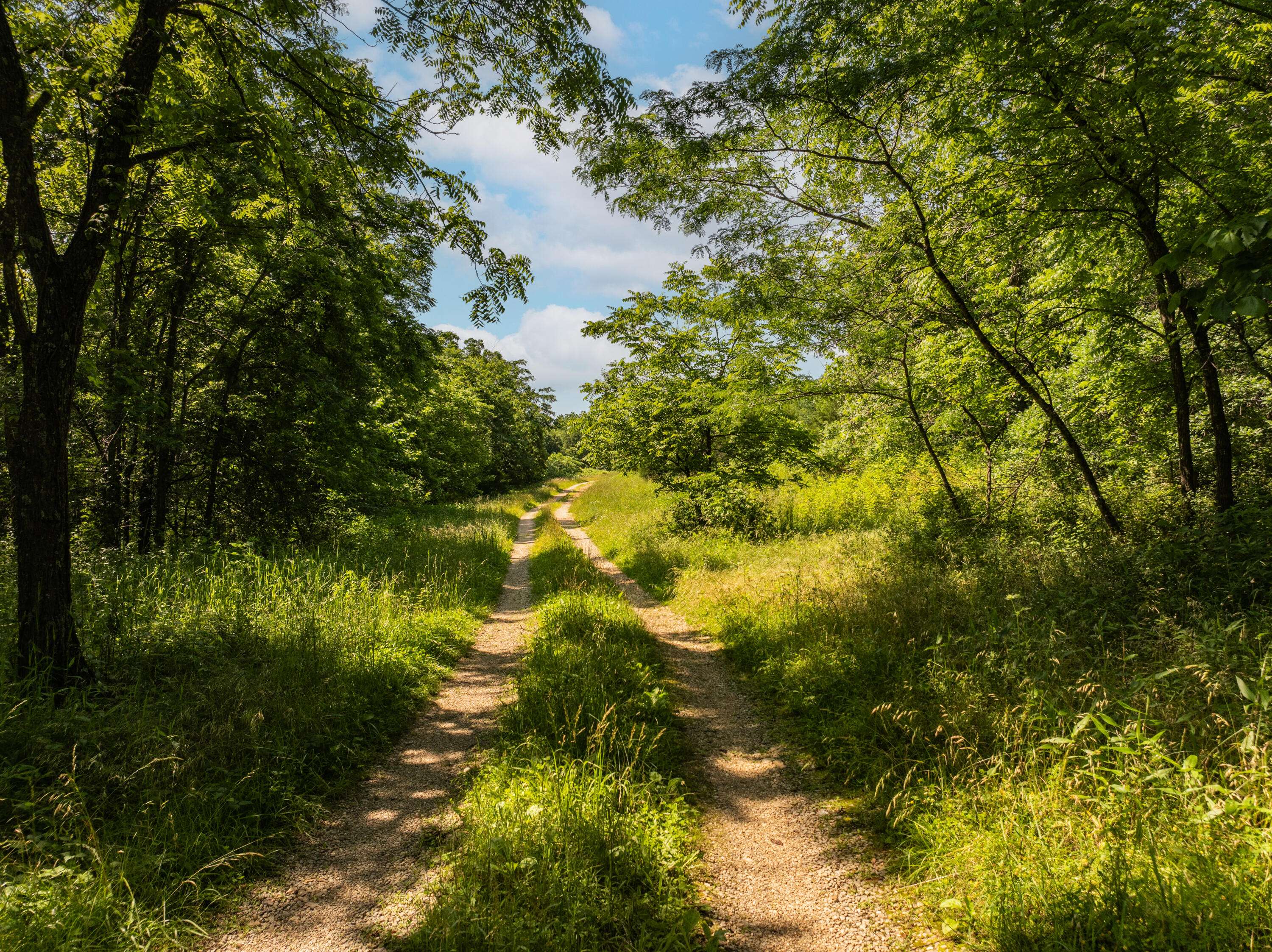 Lebanon, MO 65536,0 Eisenhower Road