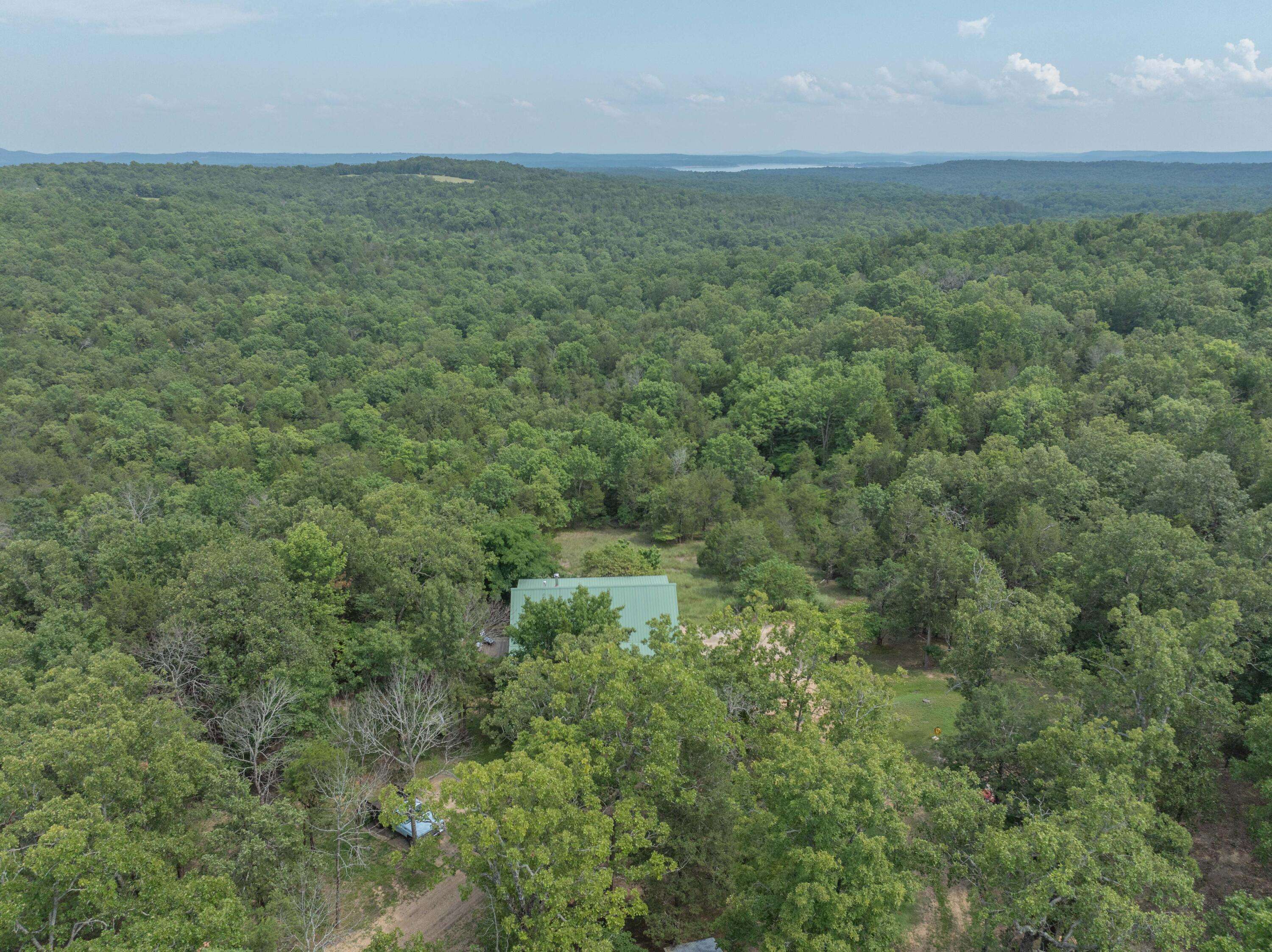 Theodosia, MO 65761,164 Sweet Home Trail