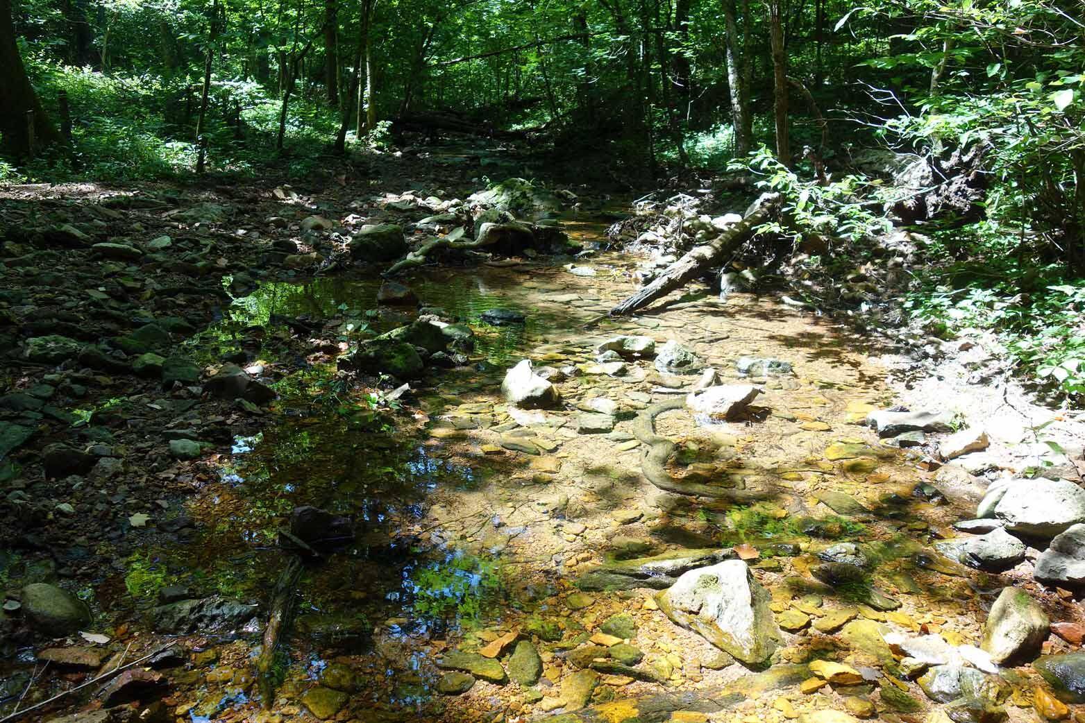 Eminence, MO 65466,000 South Road/Lot 27 Srhe