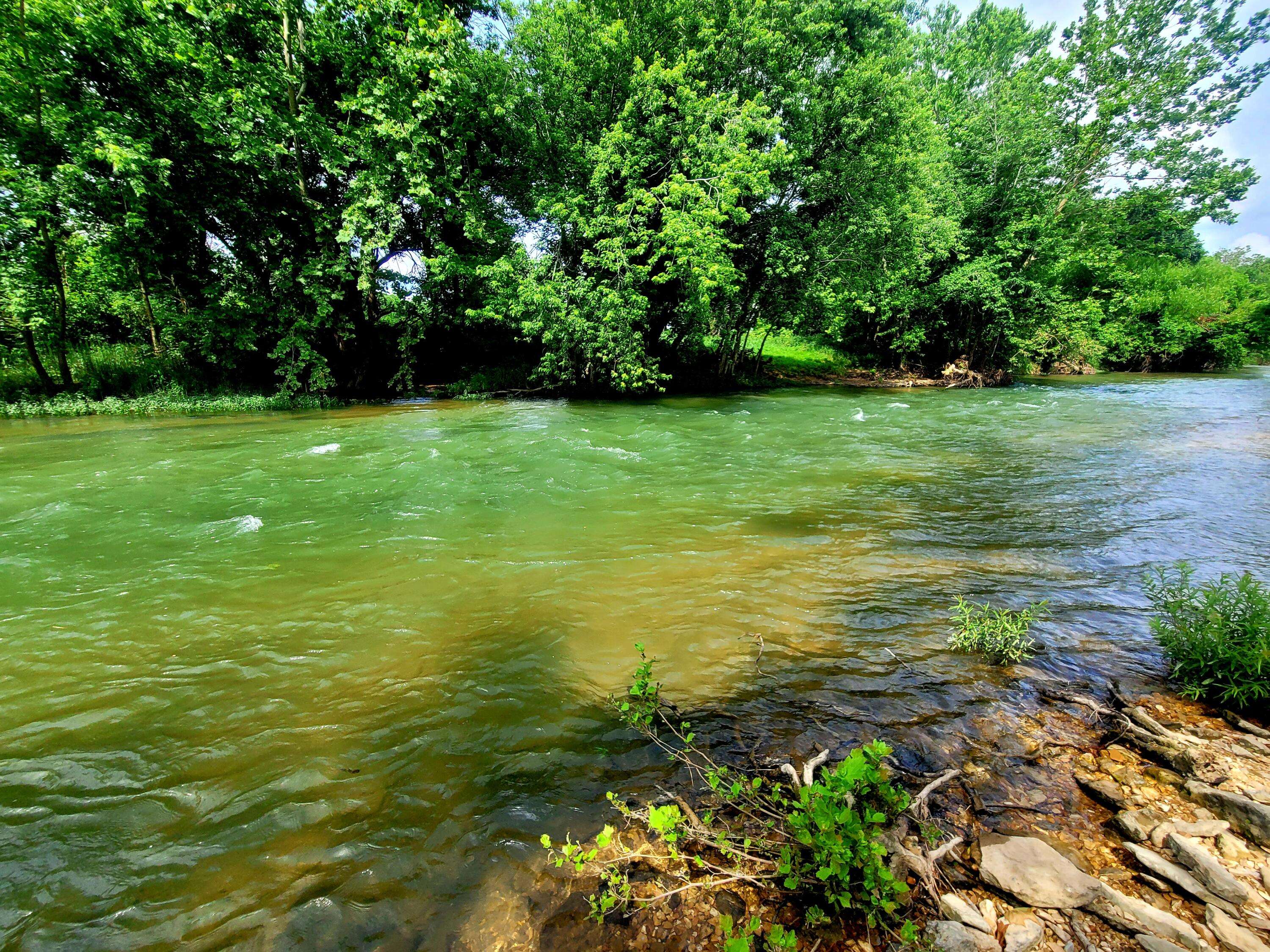 Ozark, MO 65721,Lot 14a Riverpointe View