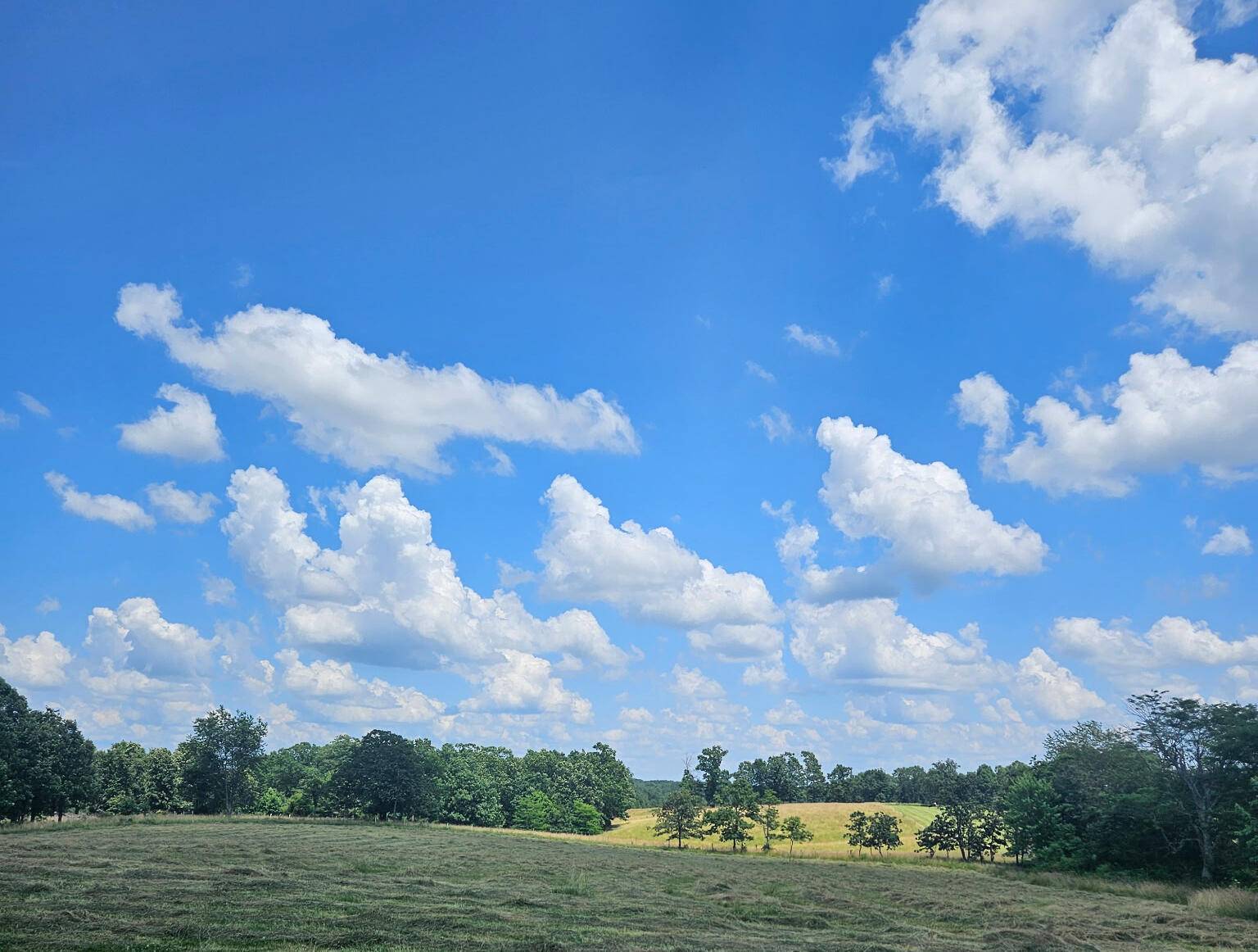 Summersville, MO 65571,1404 Harlow Road