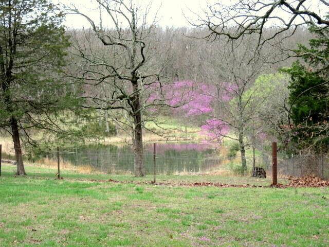 Fair Grove, MO 65648,257 Firefly Lane
