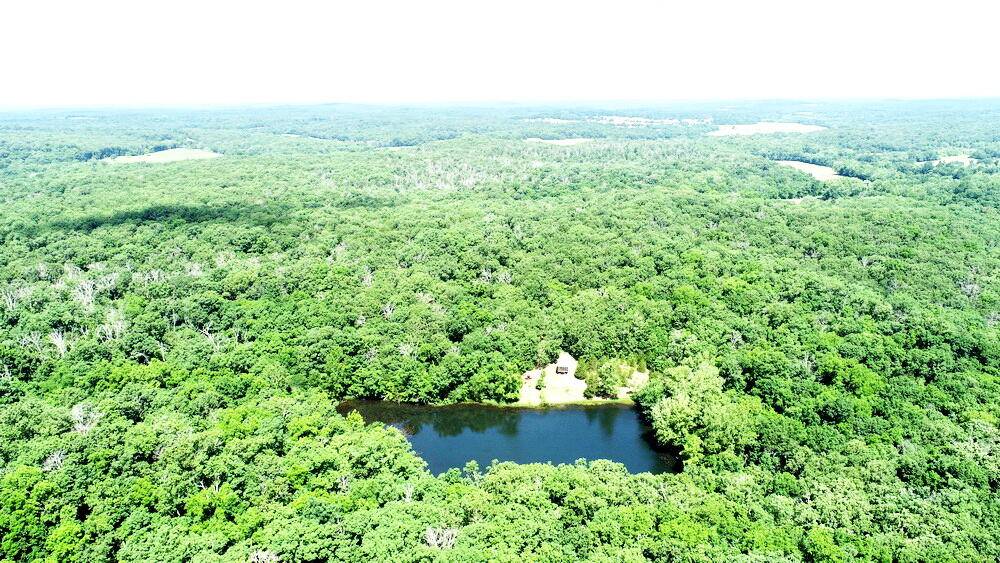 Collins, MO 64738,000 SE 1200 Road