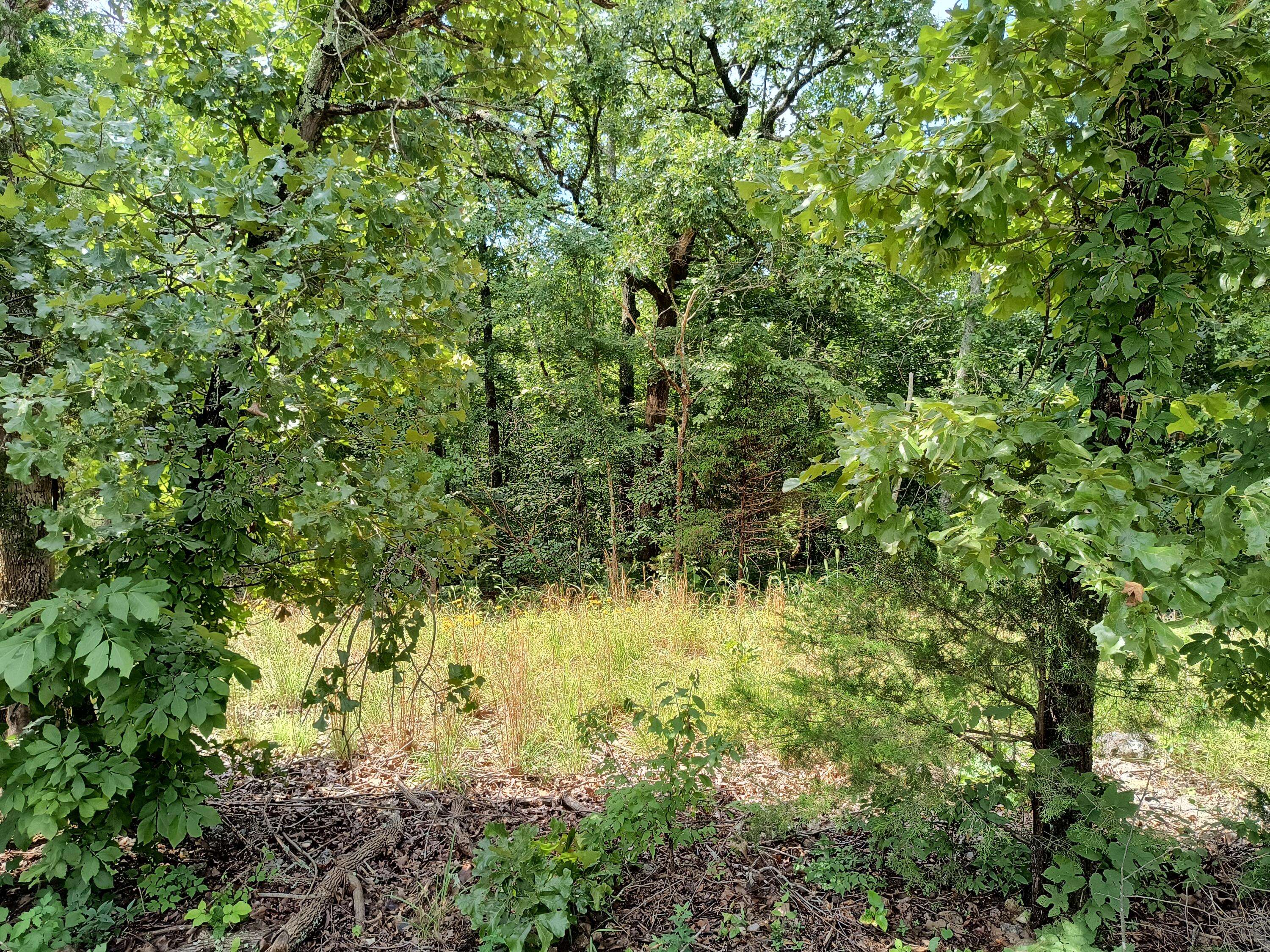 Tecumseh, MO 65760,000 Hwy 160