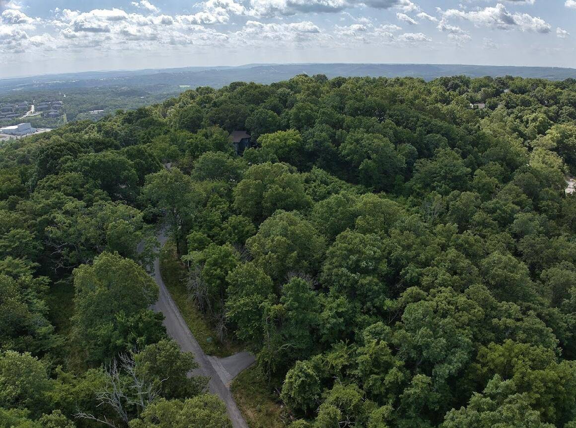 Branson, MO 65616,162 Lone Pine Road