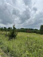 Fair Grove, MO 65648,000 Lot 4 Sheridan Road