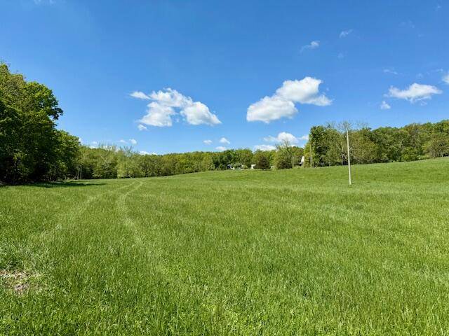 Bucyrus, MO 65444,8493 Plum Valley Road