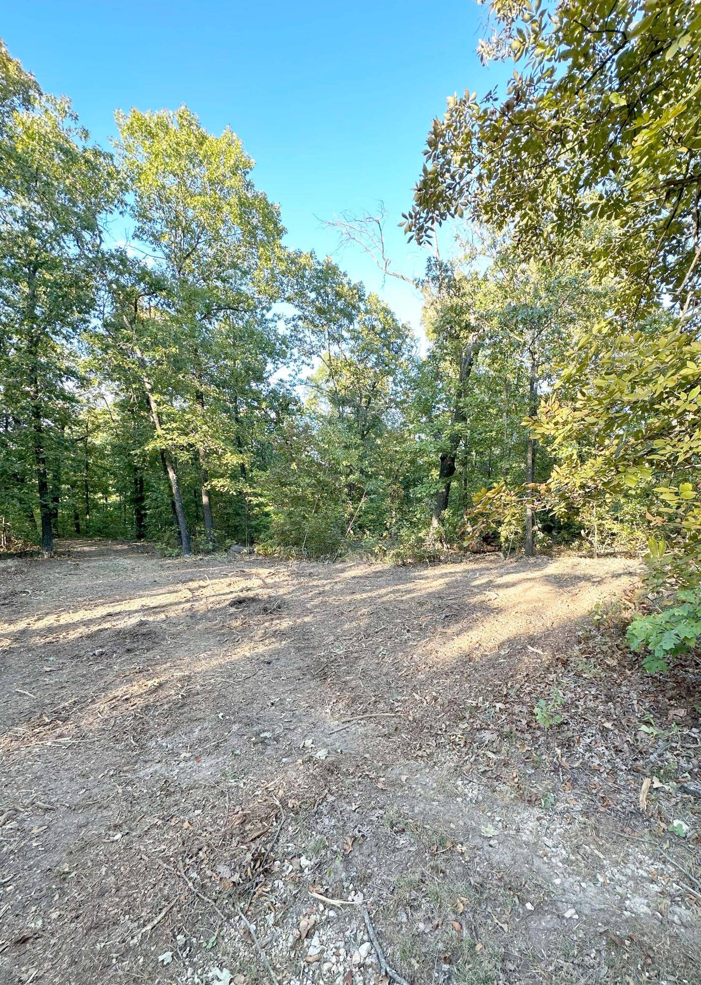 Purdy, MO 65734,000 State Hwy C #Tract 6