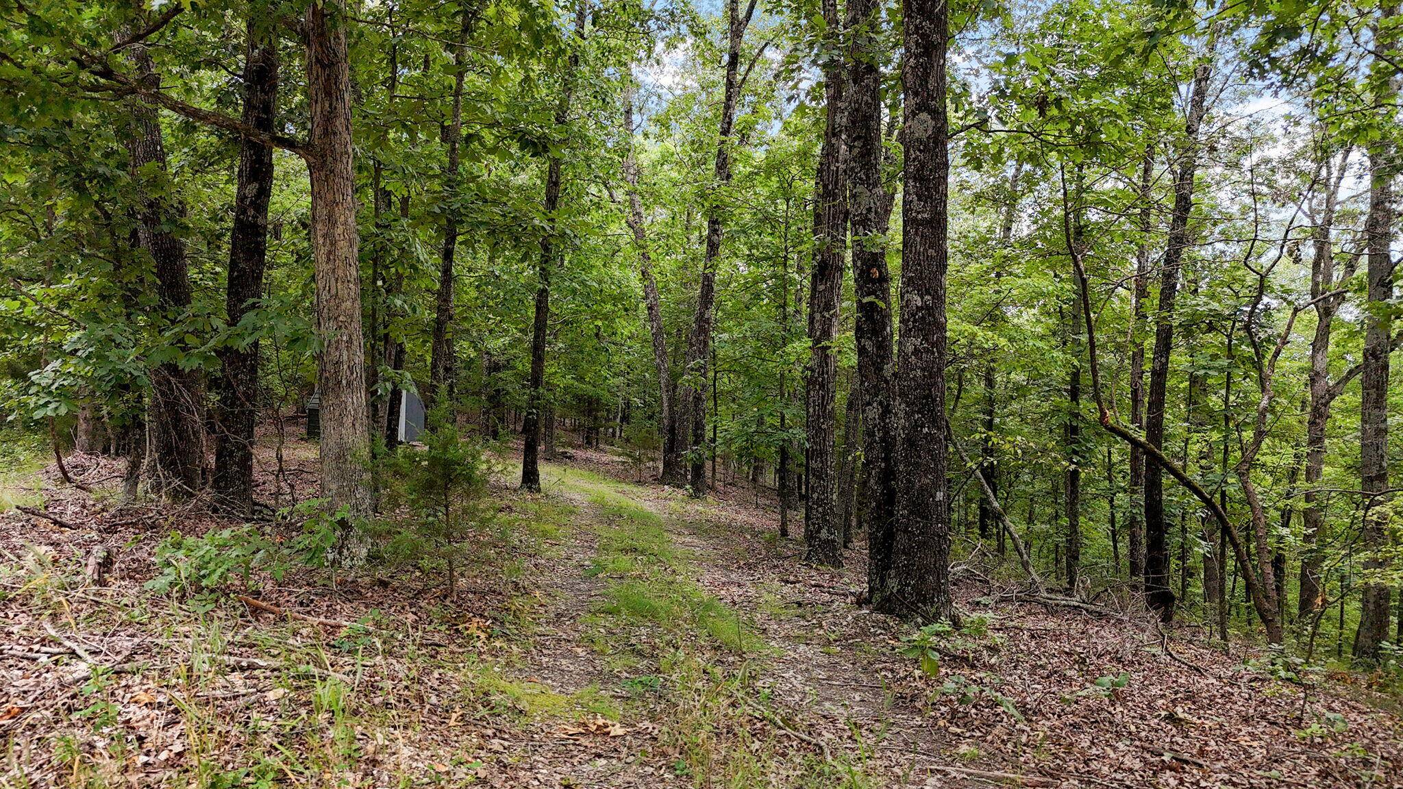Galena, MO 65656,000 Buttermilk Spring Road