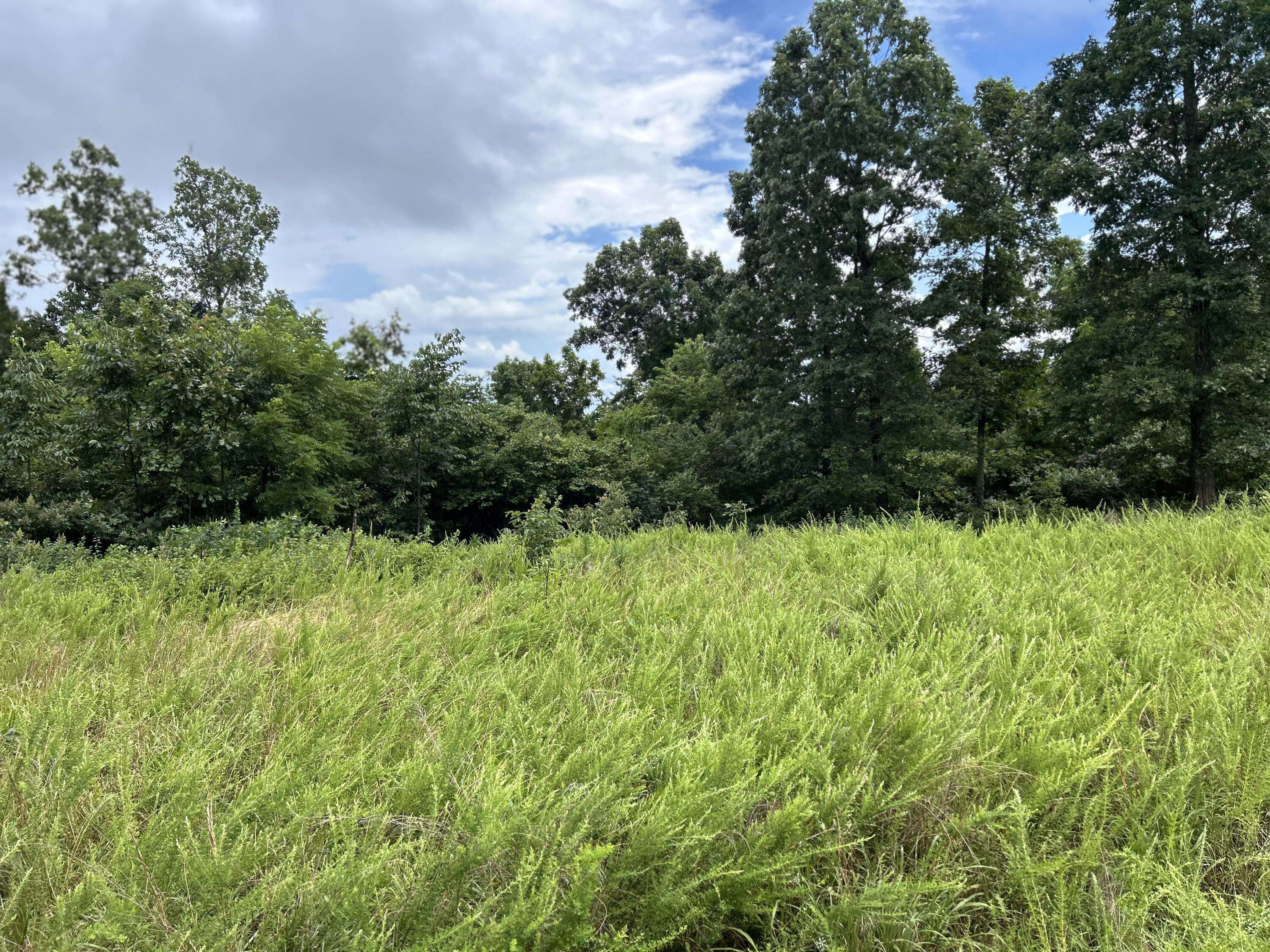 Redford, MO 63665,0 County Road 444